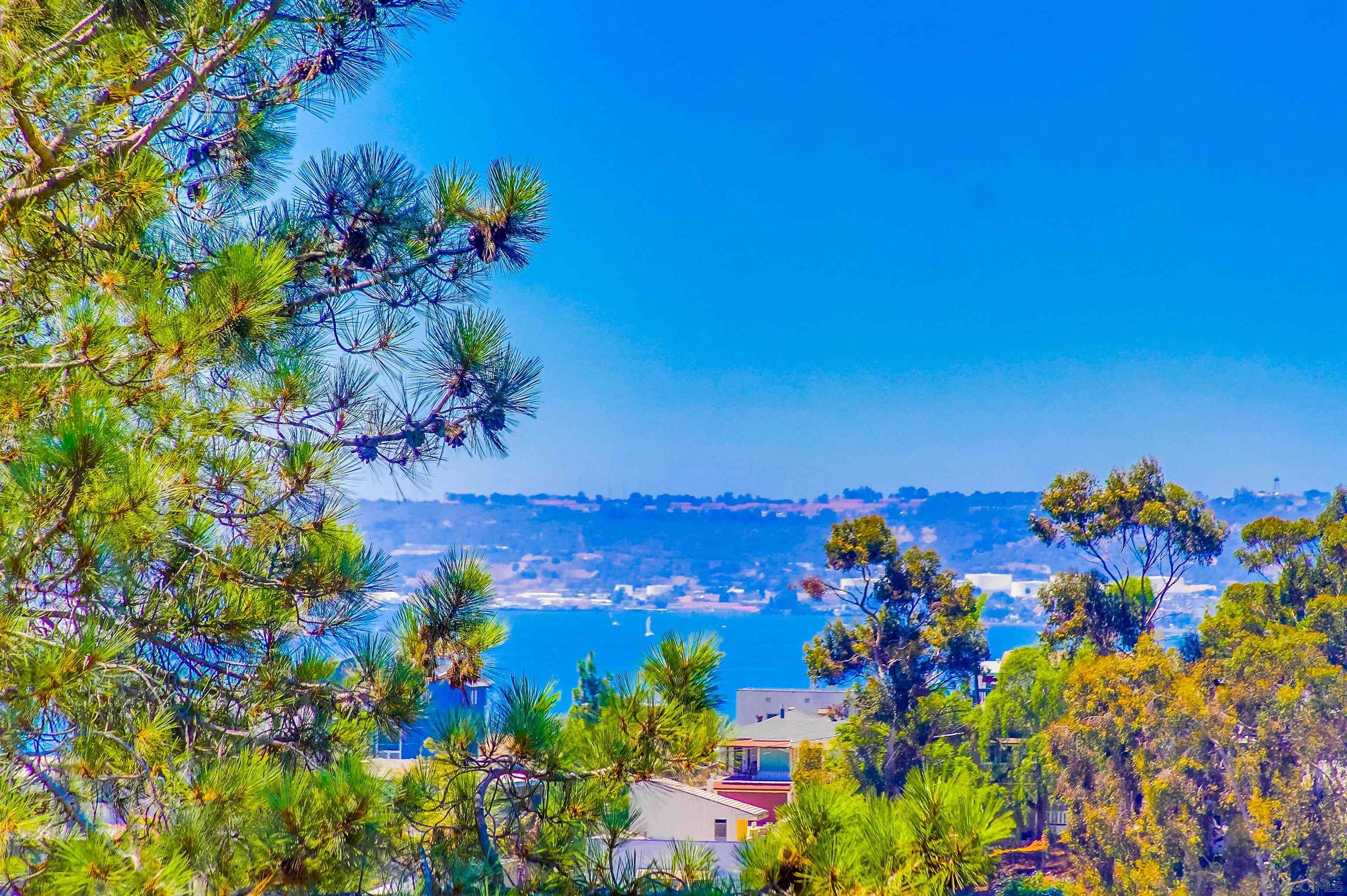 Detail Gallery Image 10 of 51 For 2854  Albatross Street, San Diego,  CA 92103 - 4 Beds | 2/1 Baths