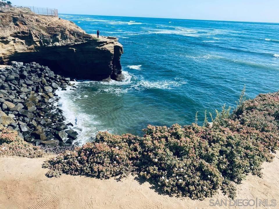 Detail Gallery Image 5 of 35 For 2500  Torrey Pines  119, La Jolla,  CA 92037 - 1 Beds | 1/1 Baths