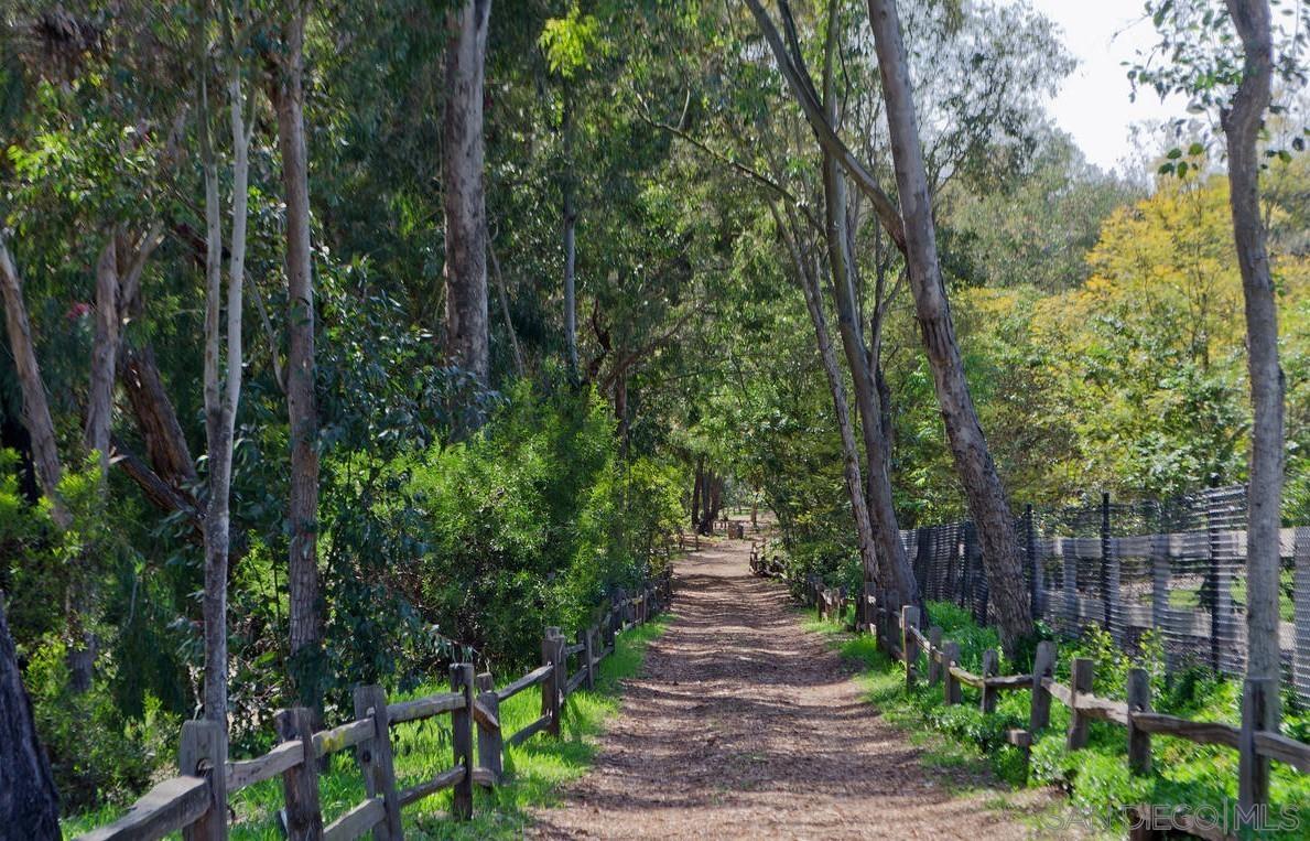 Detail Gallery Image 29 of 30 For 17177  Calle Serena, Rancho Santa Fe,  CA 92067 - 6 Beds | 6/1 Baths