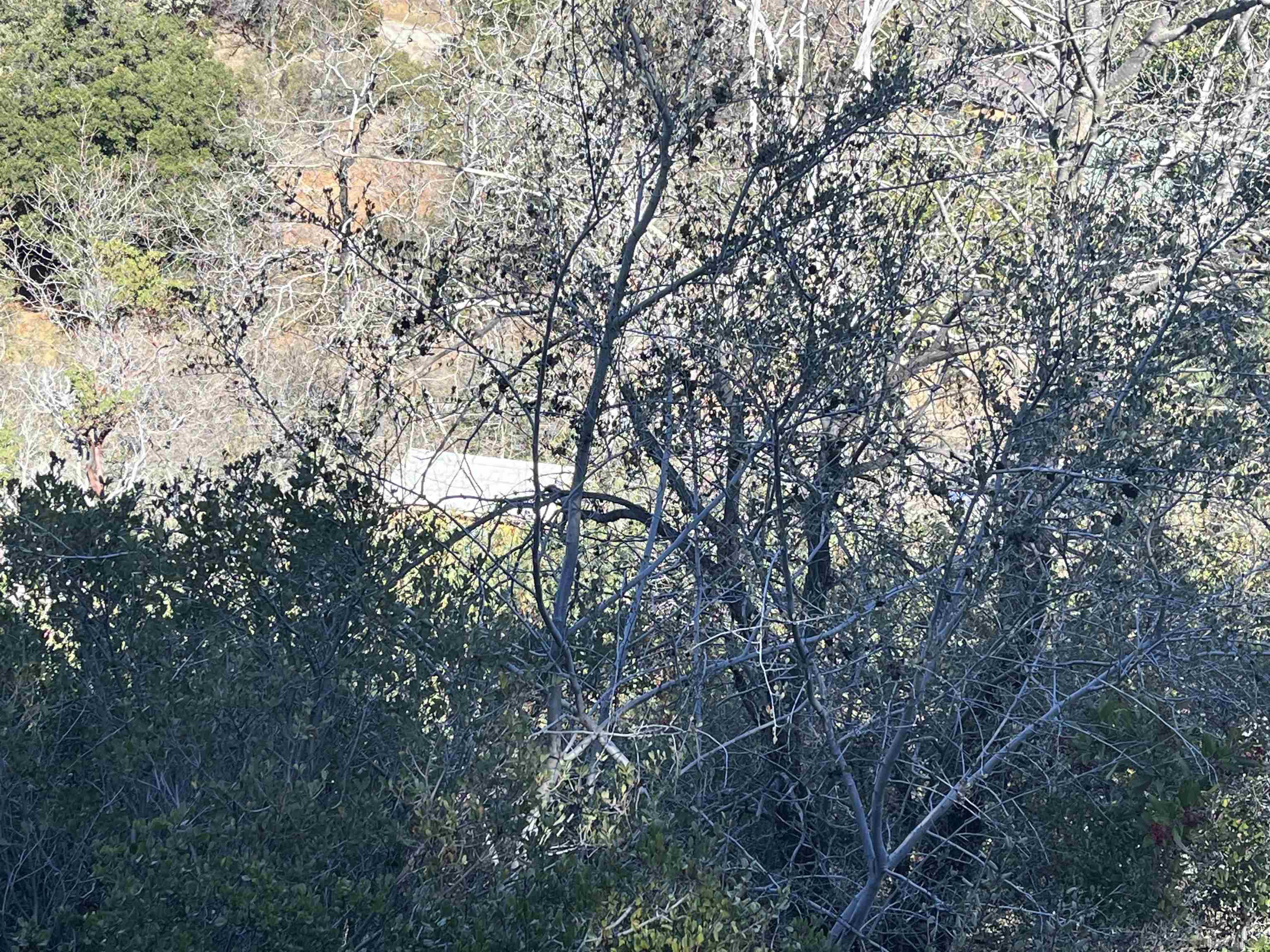 Detail Gallery Image 3 of 14 For , Julian,  CA 92036 - – Beds | – Baths