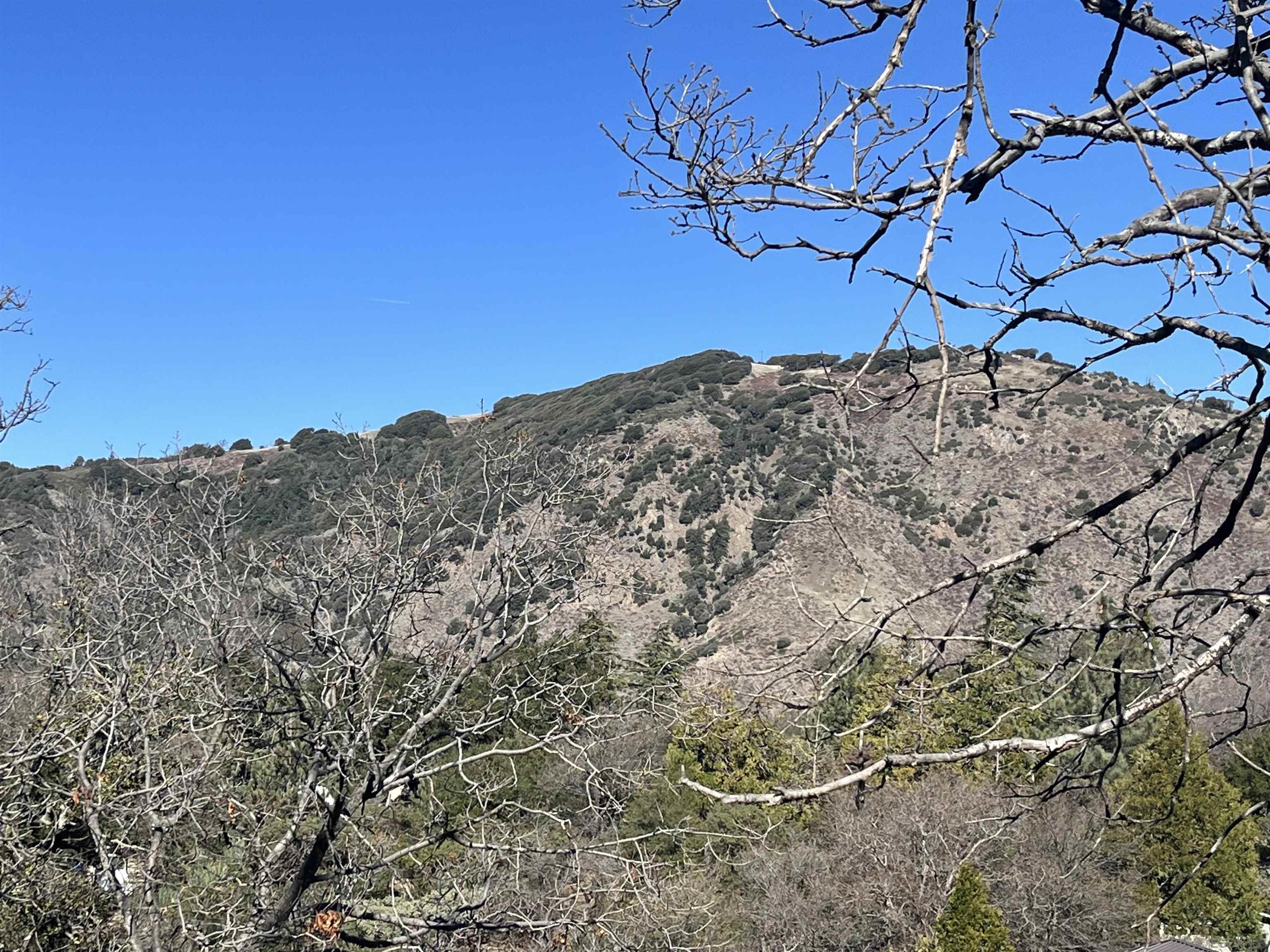 Detail Gallery Image 8 of 14 For , Julian,  CA 92036 - – Beds | – Baths