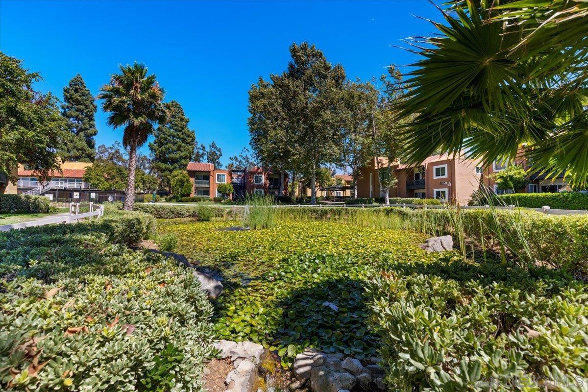 Detail Gallery Image 31 of 36 For 17165 W Bernardo Dr  #205,  San Diego,  CA 92127 - 2 Beds | 1 Baths