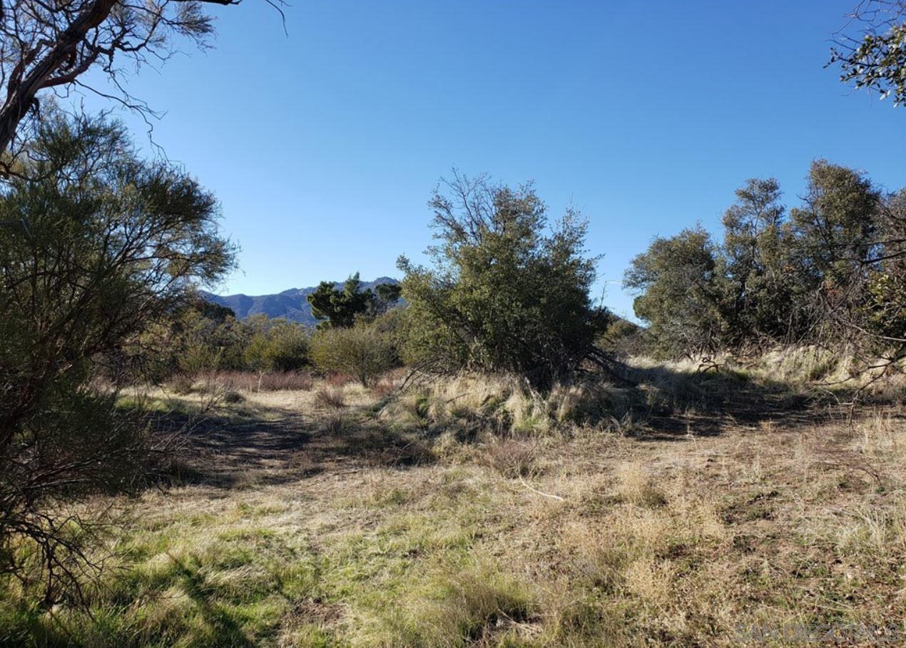 Detail Gallery Image 7 of 10 For , Anza,  CA 92539 - – Beds | – Baths