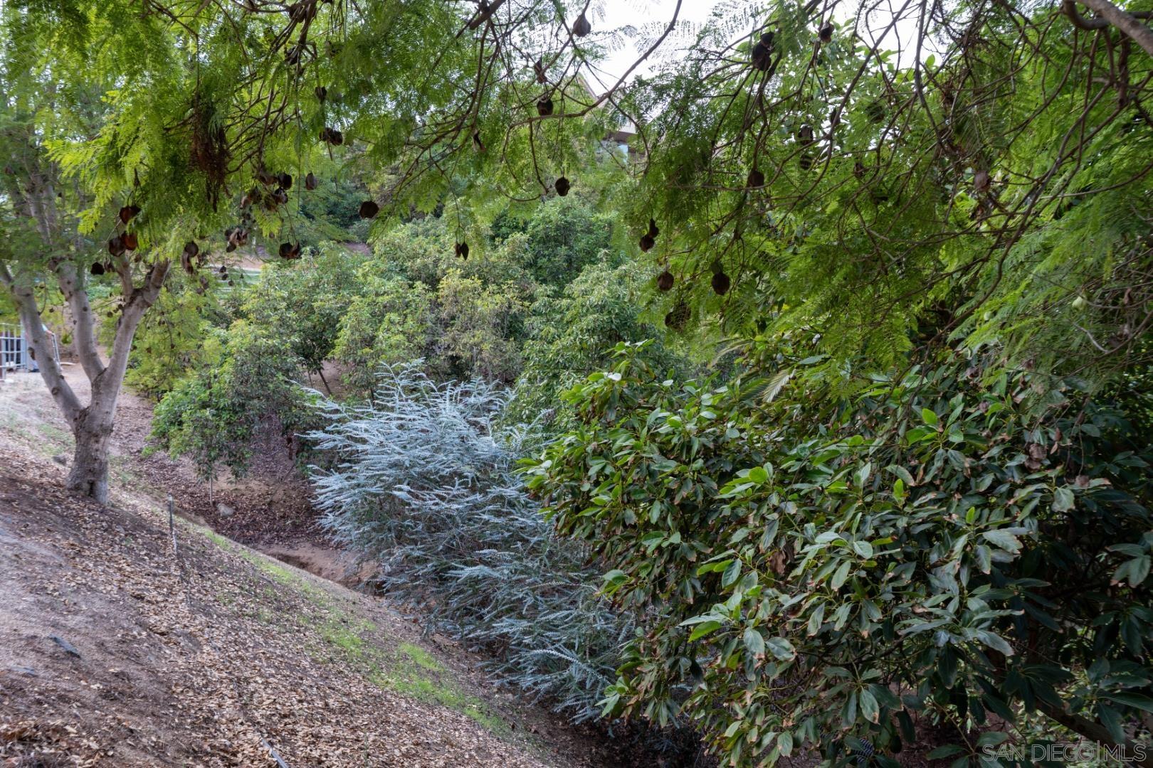 Detail Gallery Image 53 of 60 For 1609  Santa Margarita Drive, Fallbrook,  CA 92028 - 4 Beds | 4/1 Baths