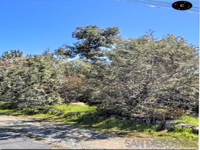 Front Image Thumbnail for SD250044450