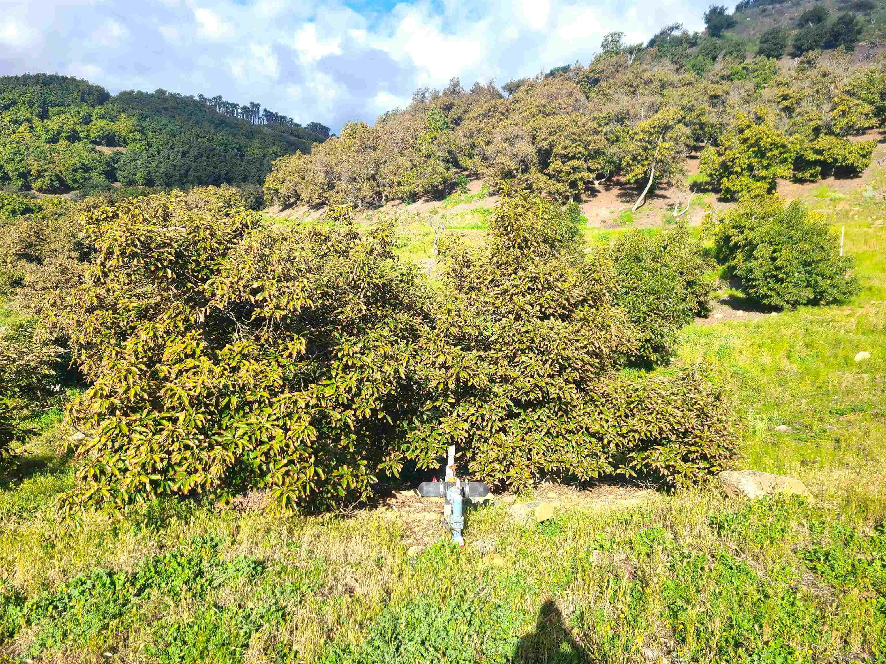 Detail Gallery Image 4 of 19 For 0  Los Gatos Rd, Temecula,  CA 92590 - 0 Beds | 0 Baths