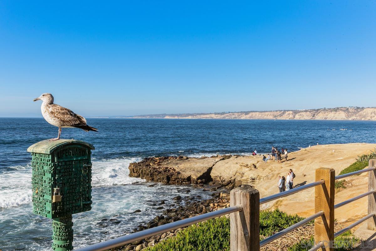 Detail Gallery Image 24 of 30 For 2368  Torrey Pines  61, La Jolla,  CA 92037 - 1 Beds | 1 Baths