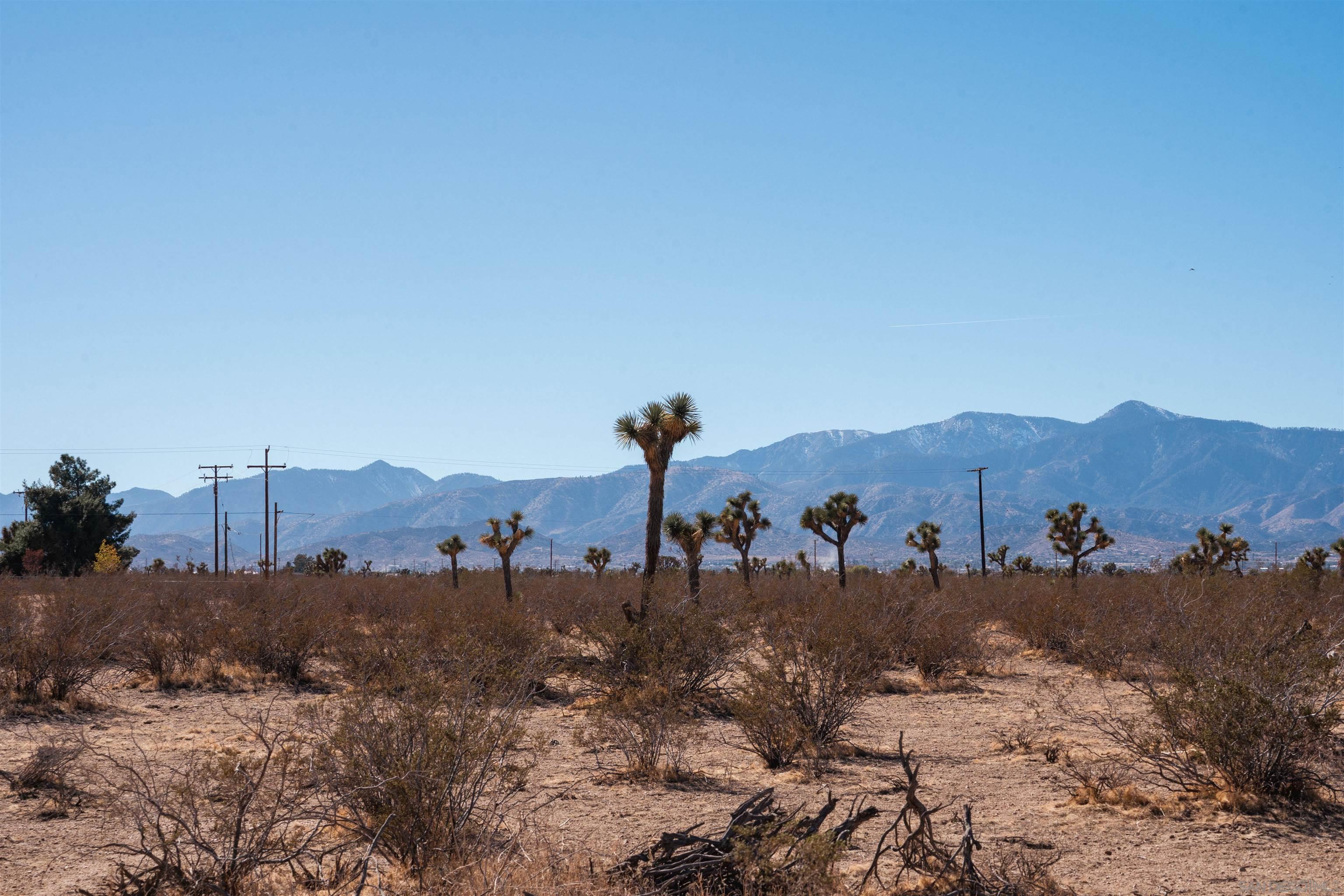 Detail Gallery Image 2 of 11 For , Phelan,  CA 92371 - – Beds | – Baths