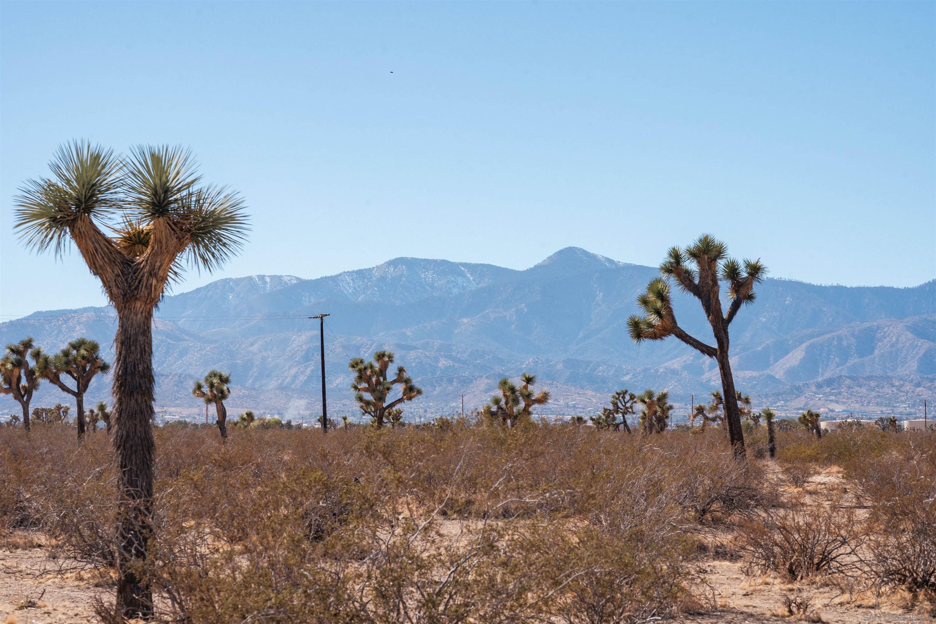 Detail Gallery Image 11 of 11 For , Phelan,  CA 92371 - – Beds | – Baths