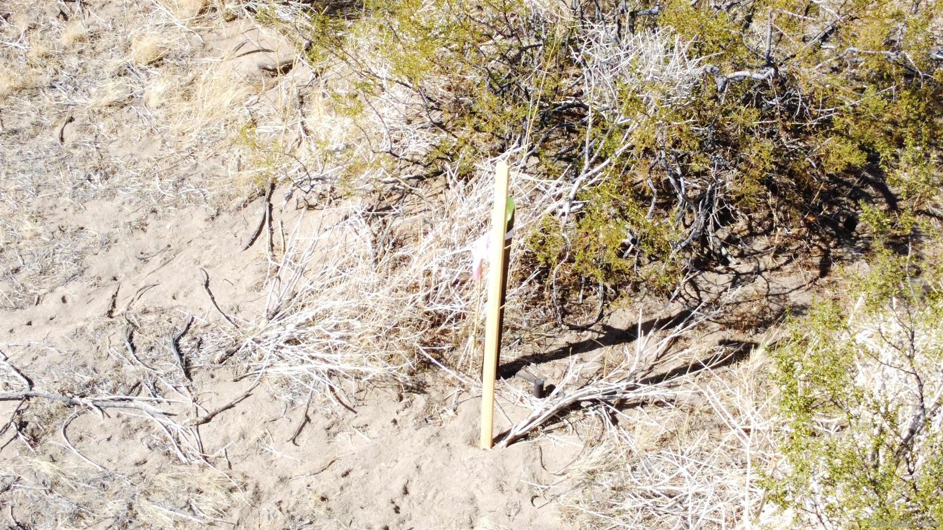 Detail Gallery Image 12 of 15 For , Julian,  CA 92036 - – Beds | – Baths