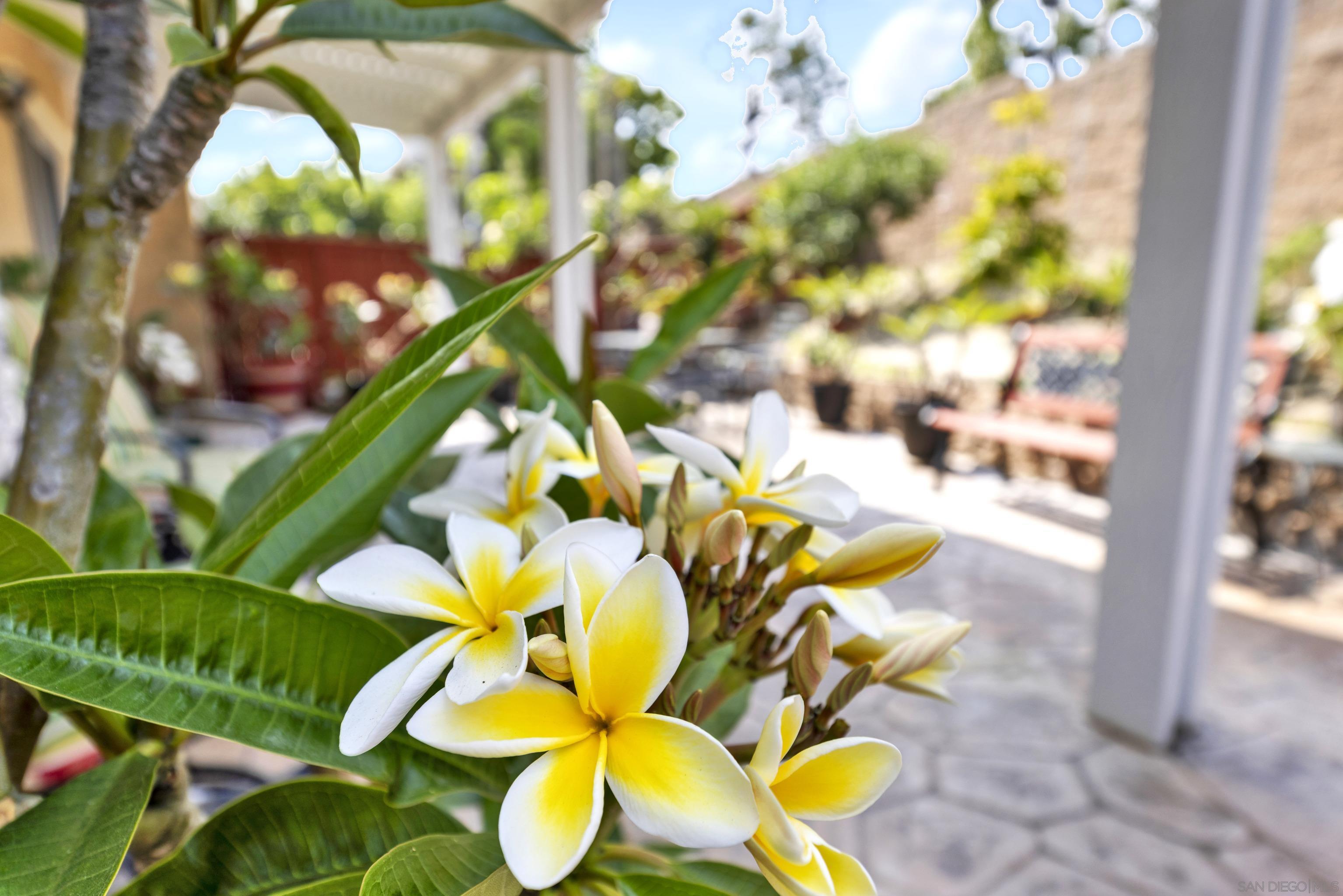 Detail Gallery Image 44 of 63 For 508  Dakota Way, Oceanside,  CA 92056 - 4 Beds | 2/1 Baths