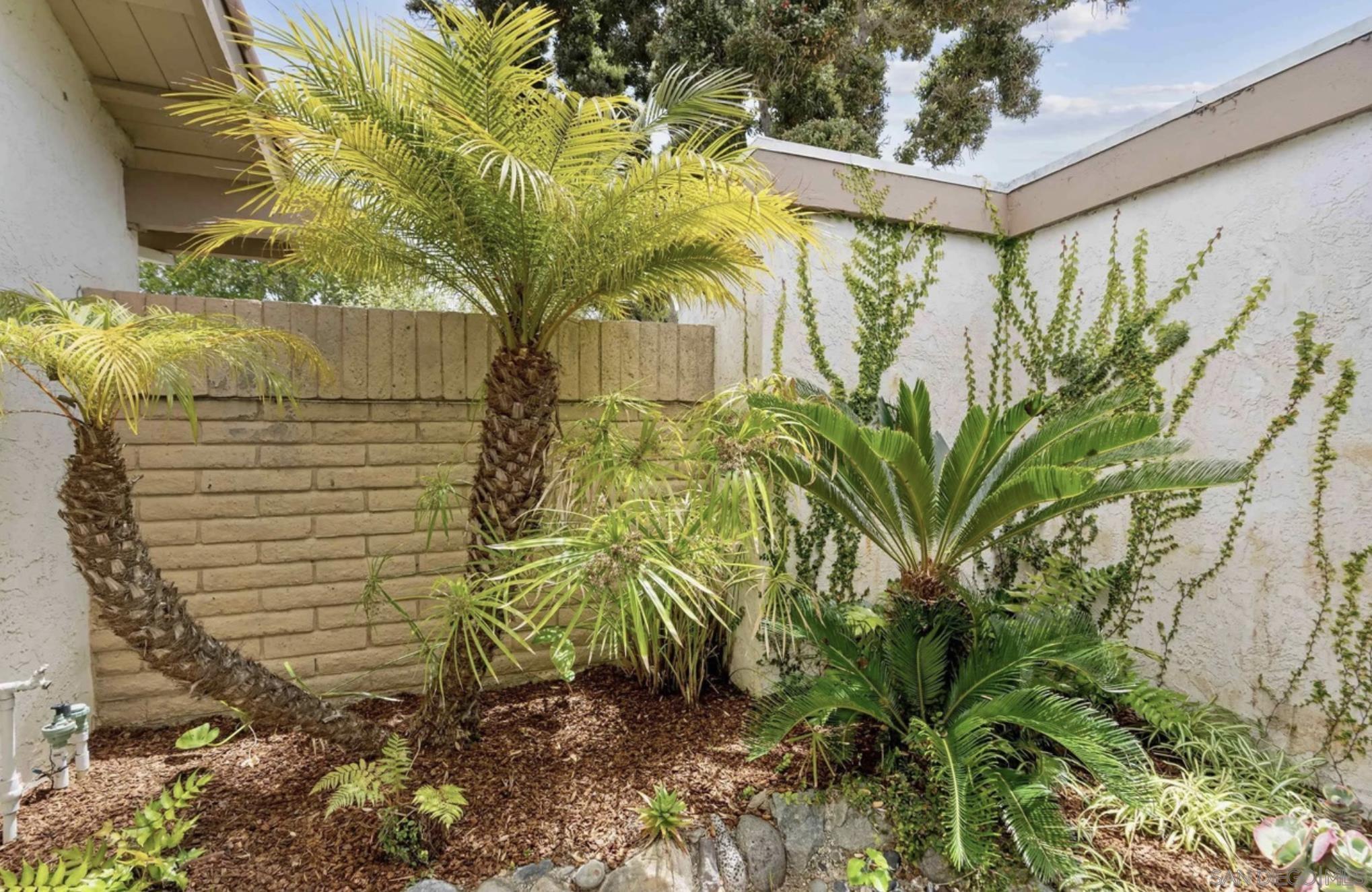 Detail Gallery Image 21 of 27 For 1608  Caminito Asterisco, La Jolla,  CA 92037 - 3 Beds | 2 Baths