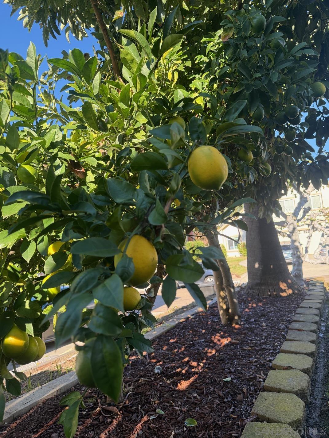 Detail Gallery Image 35 of 40 For 9569  via Pereza, San Diego,  AZ 92129 - 4 Beds | 3/1 Baths
