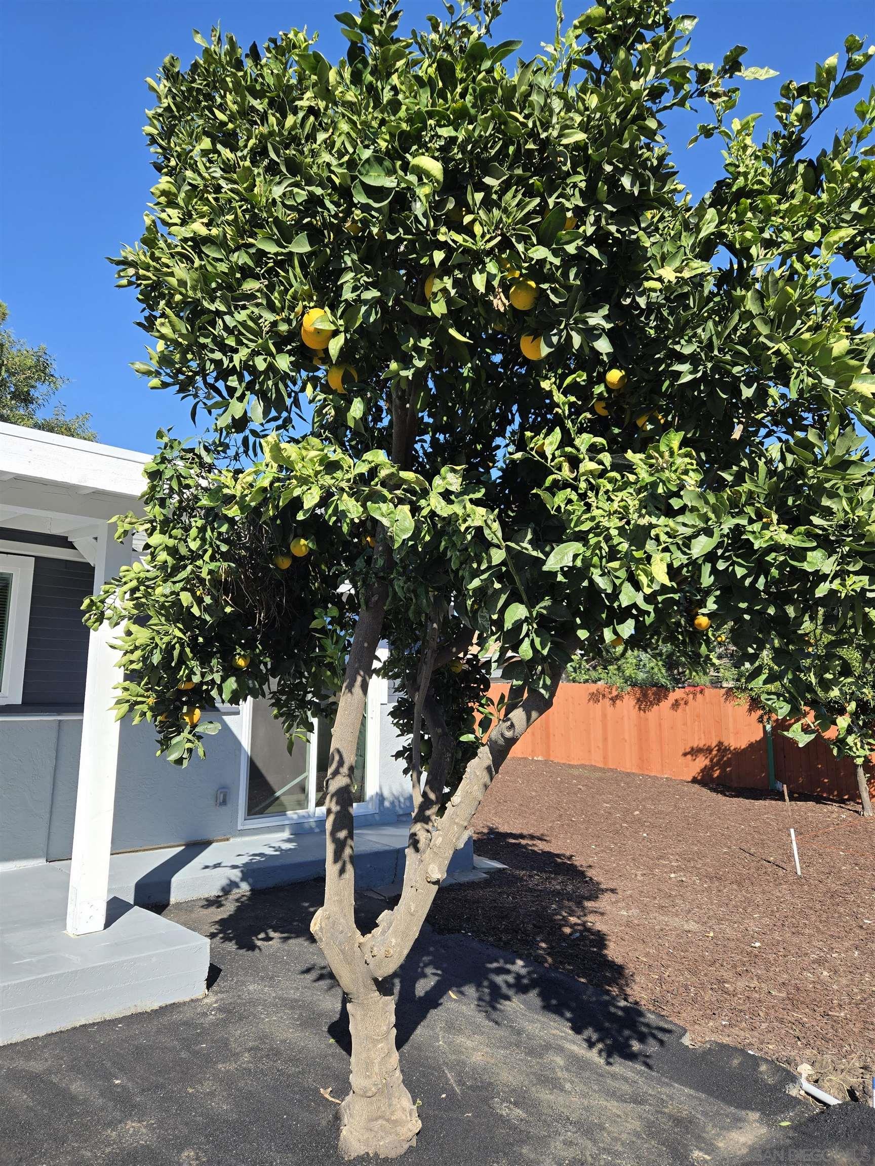 Detail Gallery Image 55 of 55 For 940 S Upas St, Escondido,  CA 92025 - 3 Beds | 2 Baths