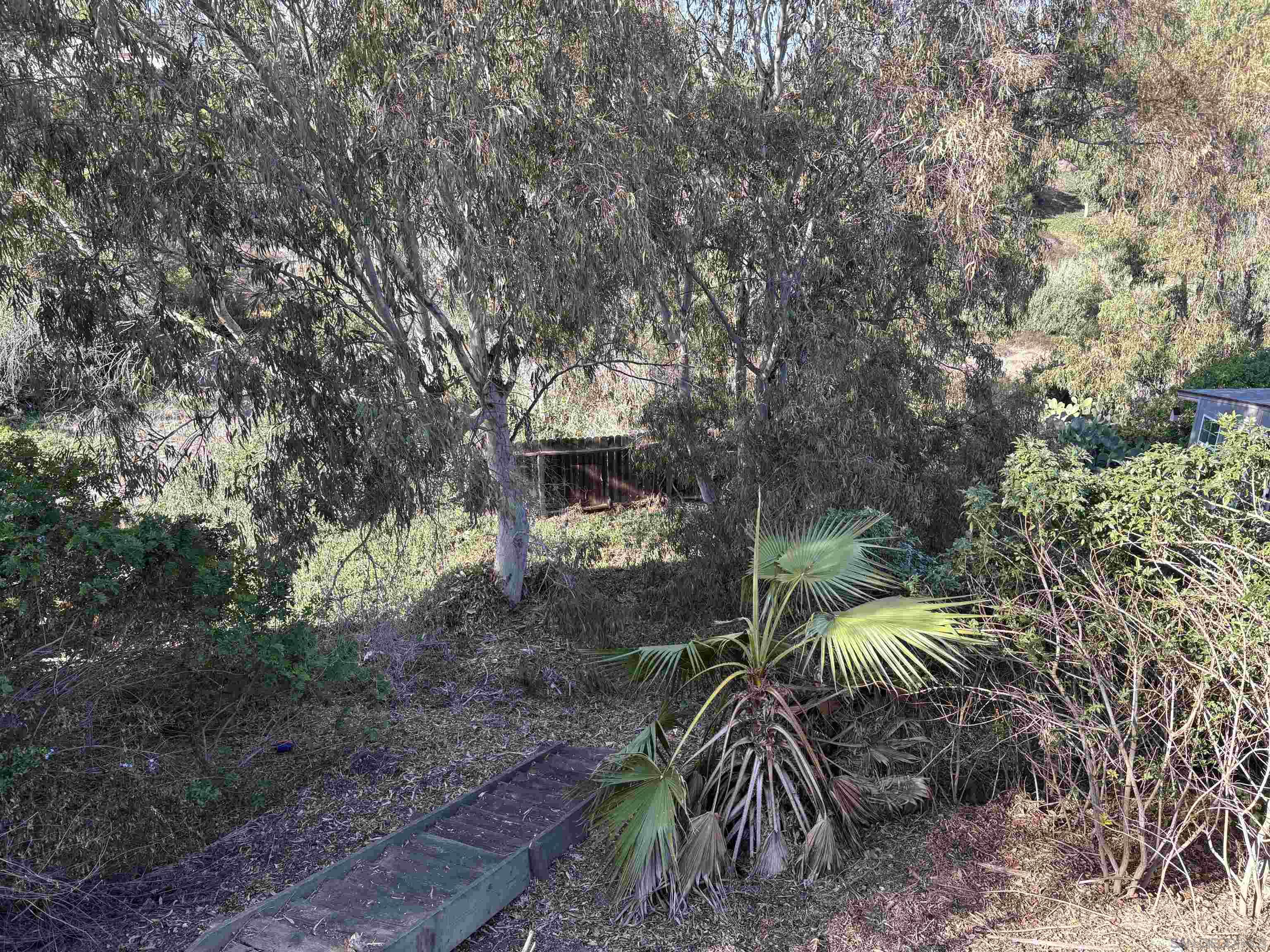 Detail Gallery Image 16 of 19 For 3466  Wisteria Dr, San Diego,  CA 92106 - 2 Beds | 1 Baths