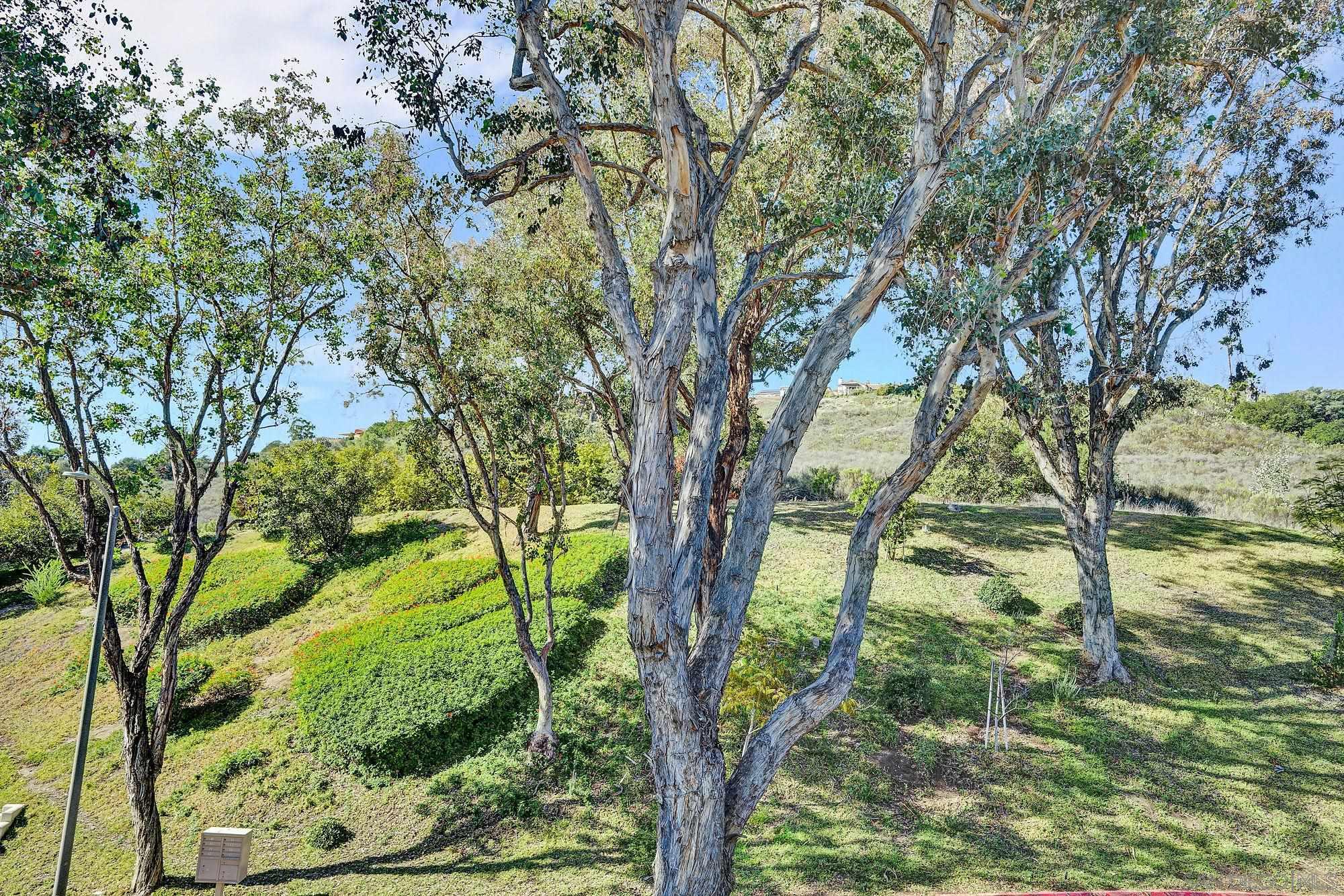 Detail Gallery Image 31 of 37 For 13644  Mulberry Tree Court, Poway,  CA 92064 - 3 Beds | 2/1 Baths