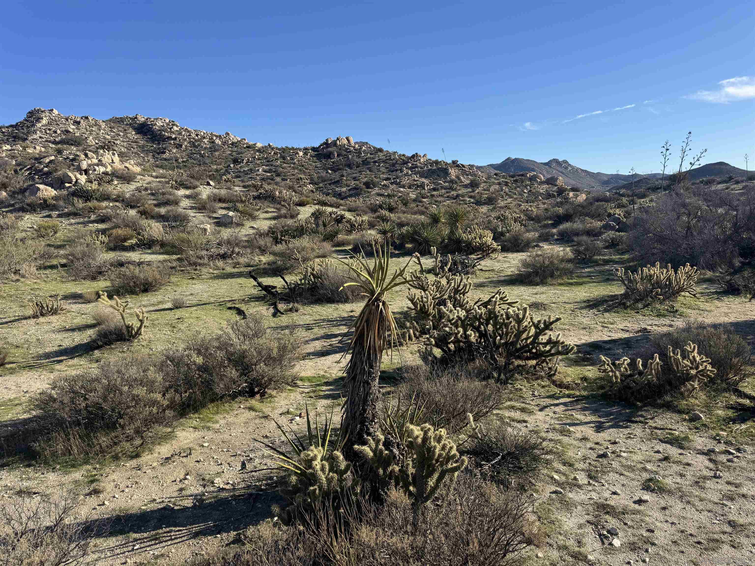 Detail Gallery Image 8 of 18 For , Jacumba,  CA 91934 - – Beds | – Baths