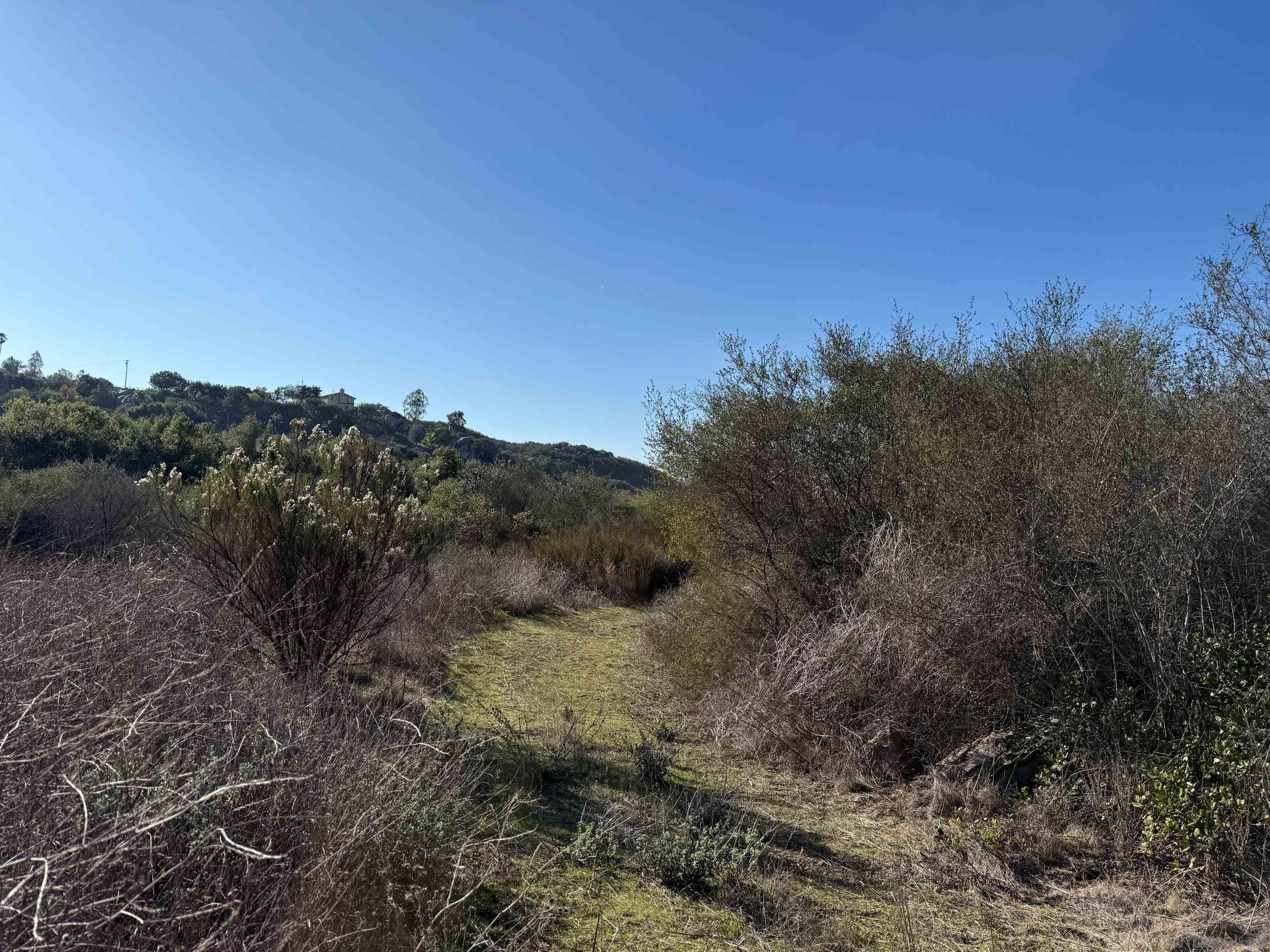 Detail Gallery Image 7 of 29 For , Lakeside,  CA 92040 - – Beds | – Baths