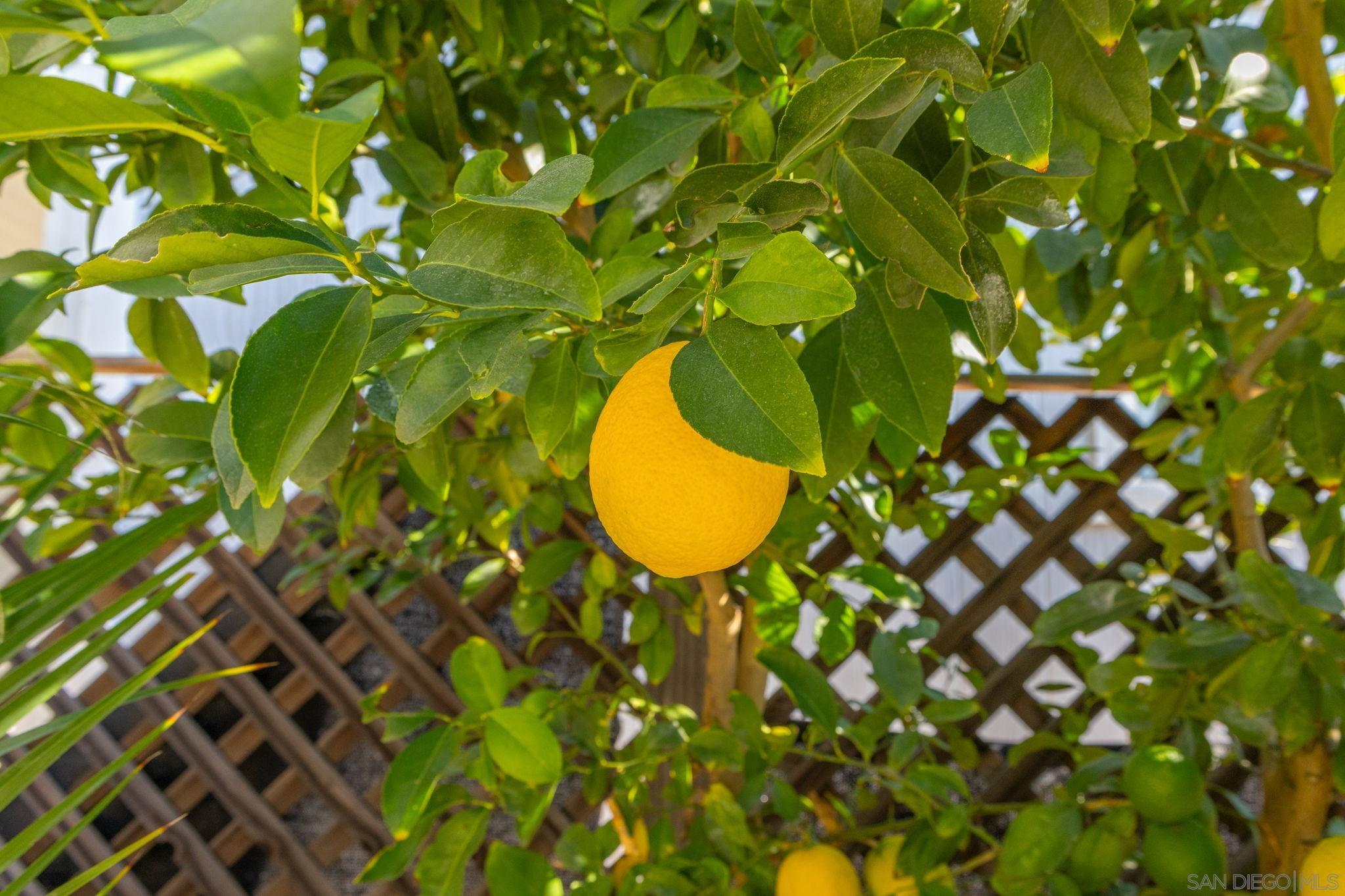 Detail Gallery Image 64 of 72 For 601 N Kirby St  #246,  Hemet,  CA 92545 - 2 Beds | 2 Baths