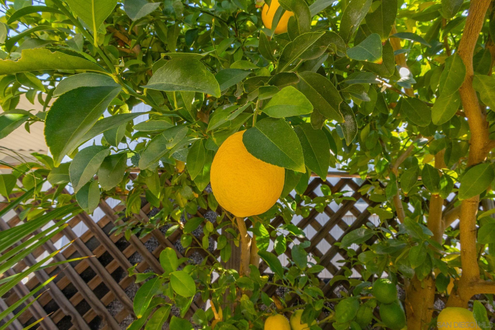 Detail Gallery Image 67 of 72 For 601 N Kirby St  #246,  Hemet,  CA 92545 - 2 Beds | 2 Baths