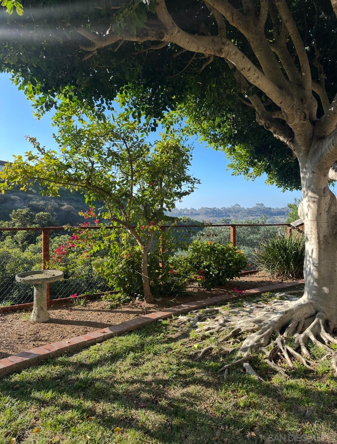 Front Image Thumbnail for SD250045196