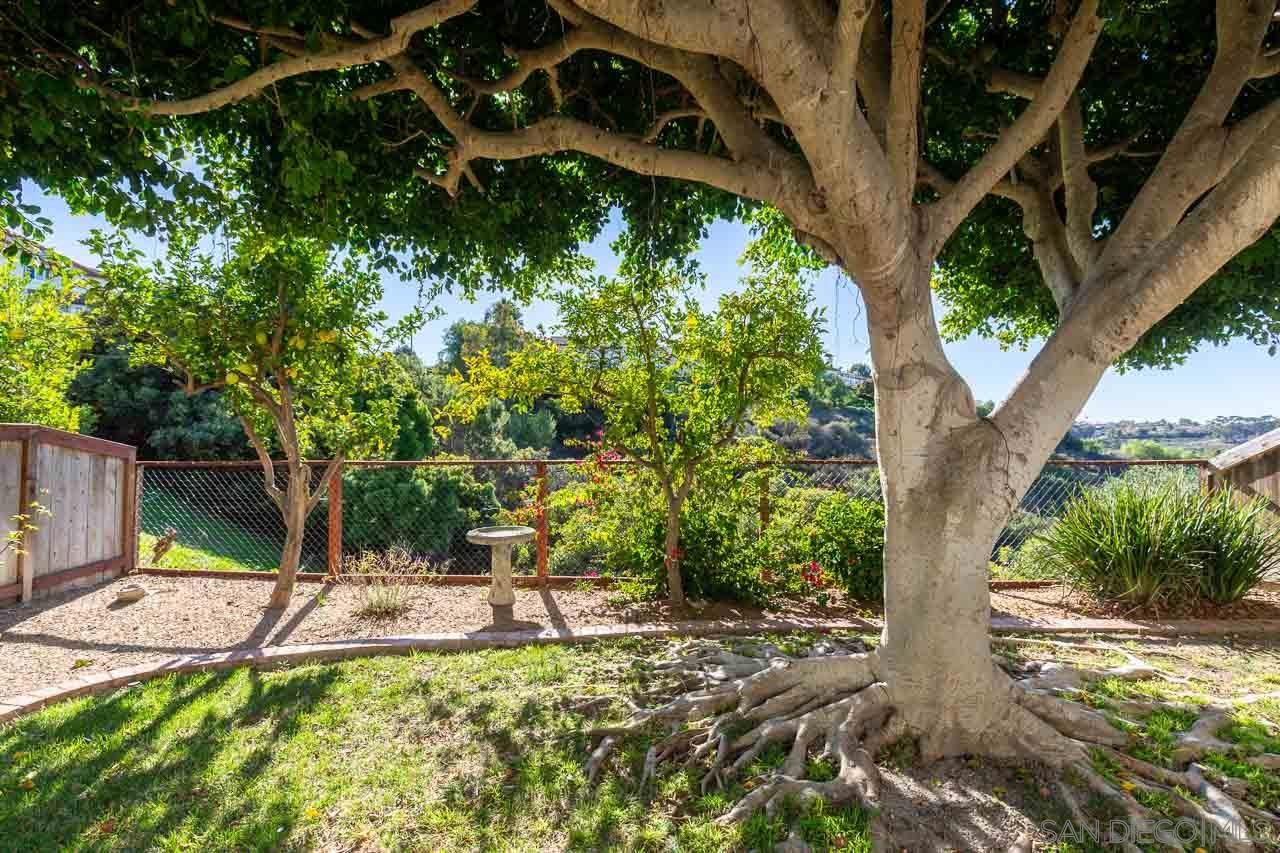 Detail Gallery Image 15 of 26 For 3618  Milford Place, Carlsbad,  CA 92010 - 3 Beds | 2/1 Baths