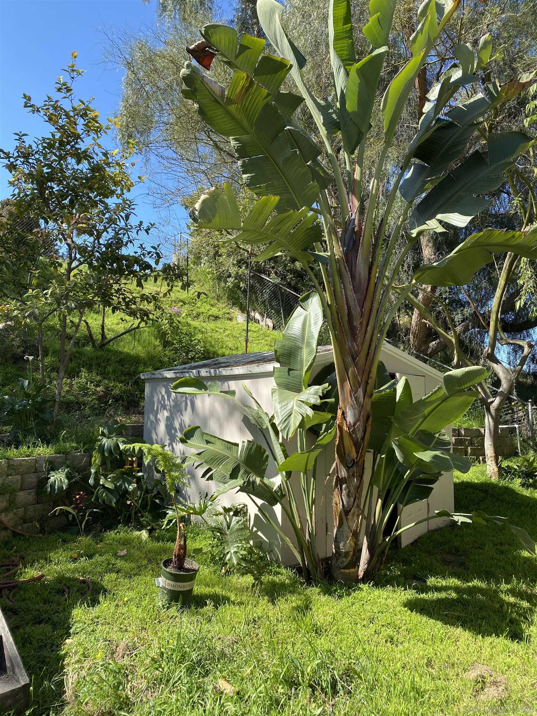 Detail Gallery Image 2 of 13 For 5015  Macario Dr, Oceanside,  CA 92057 - 3 Beds | 2 Baths