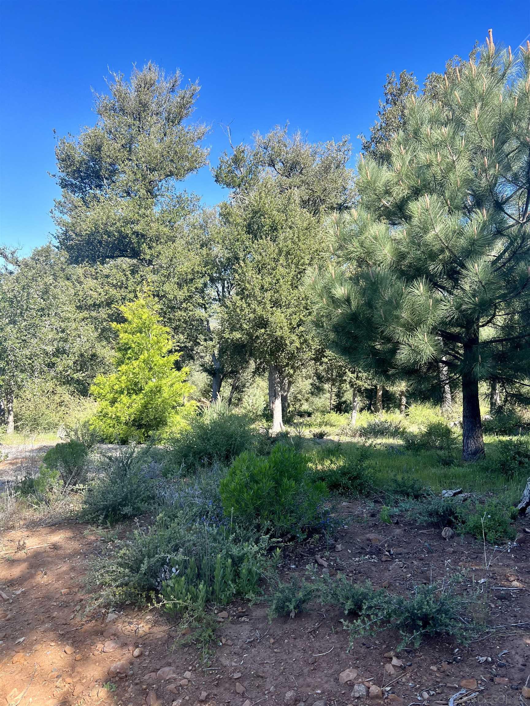 Detail Gallery Image 12 of 19 For , Julian,  CA 92036 - – Beds | – Baths