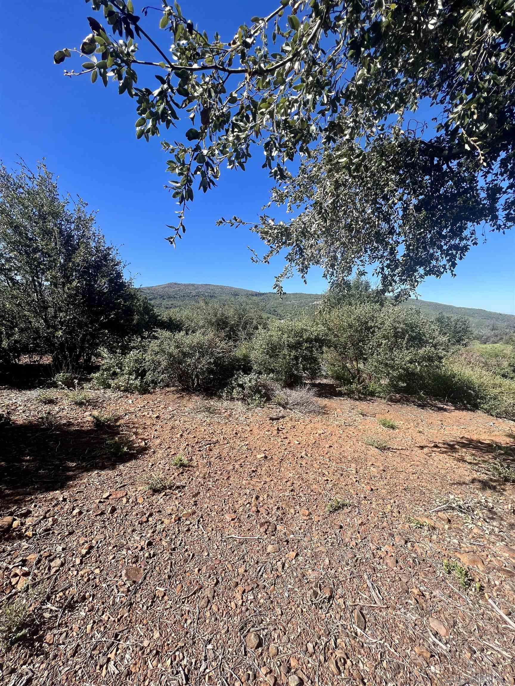 Detail Gallery Image 15 of 19 For , Julian,  CA 92036 - – Beds | – Baths