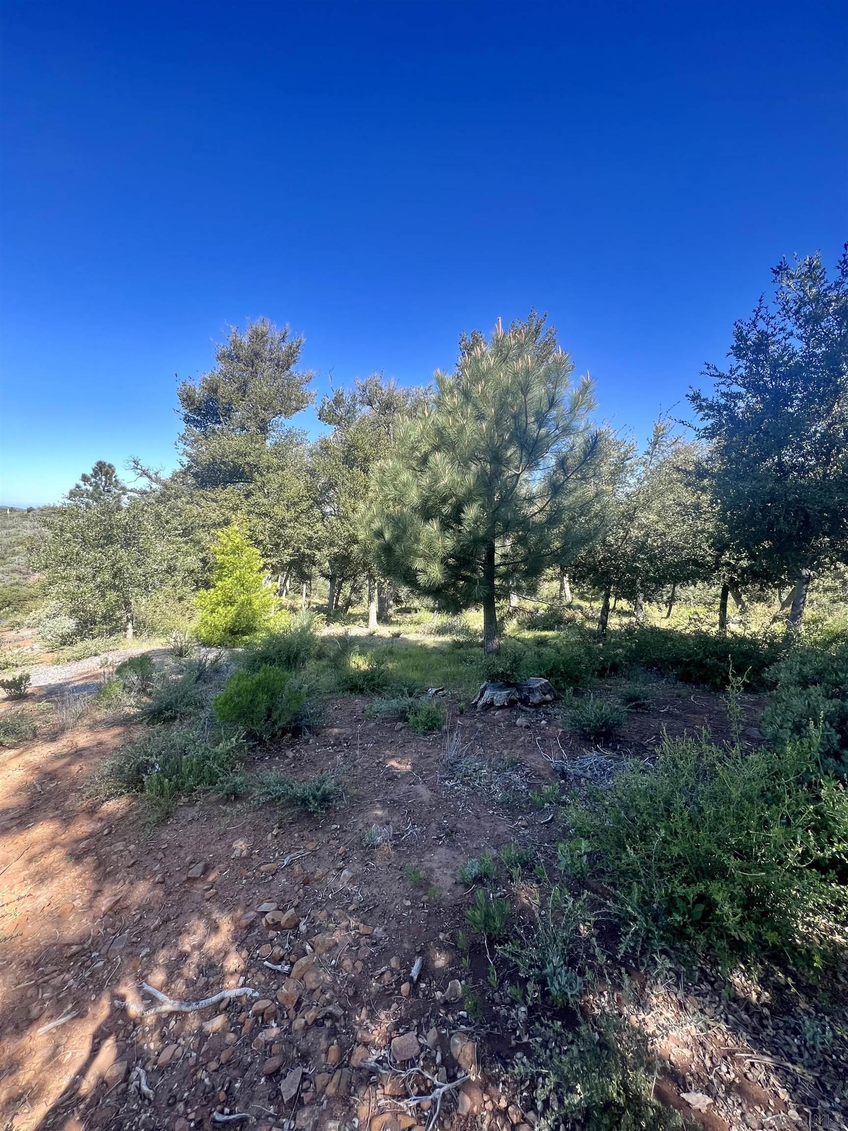 Detail Gallery Image 19 of 19 For , Julian,  CA 92036 - – Beds | – Baths