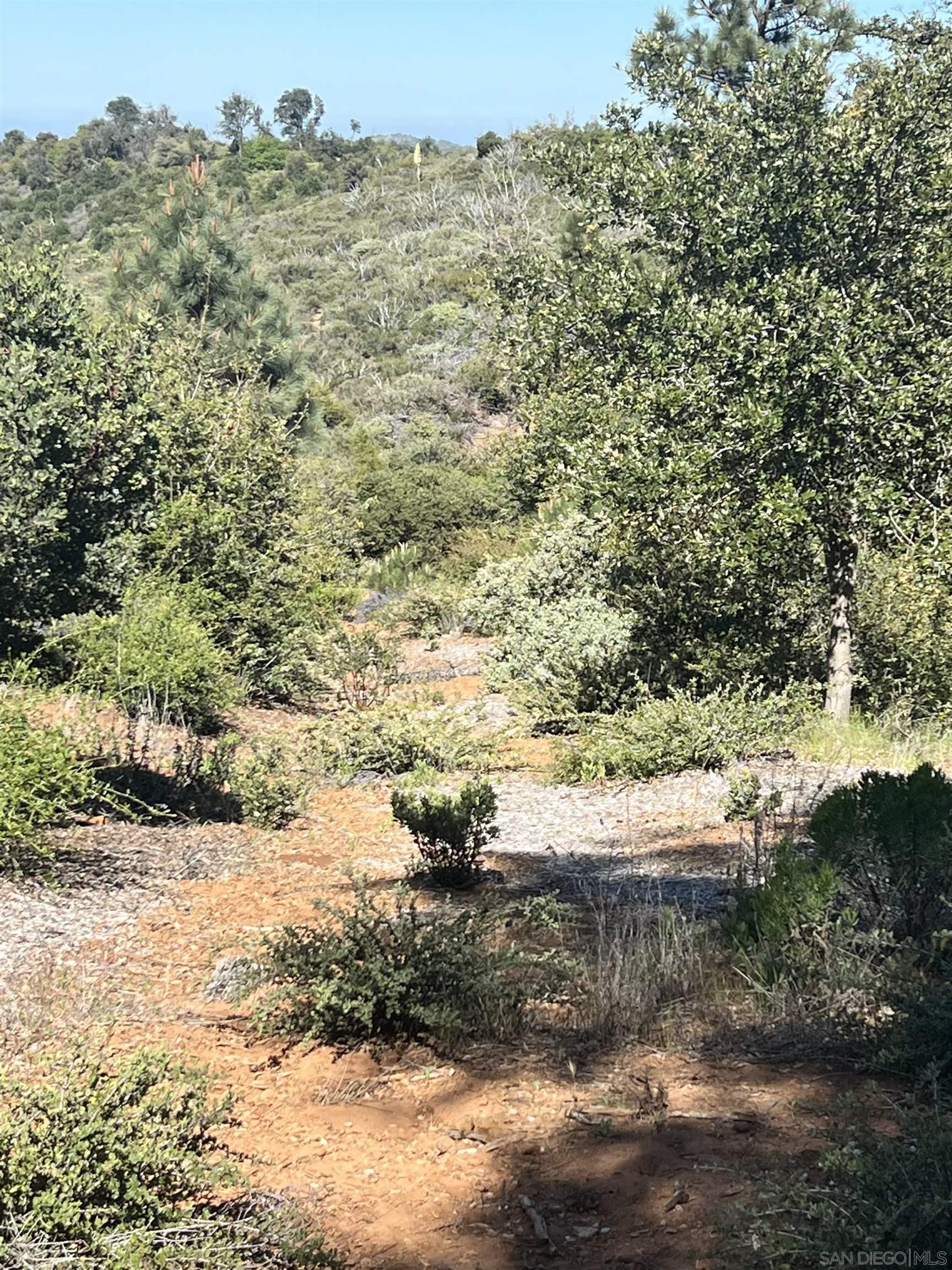 Detail Gallery Image 10 of 19 For , Julian,  CA 92036 - – Beds | – Baths