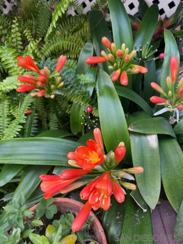 Detail Gallery Image 13 of 14 For 1772  Guy St, San Diego,  CA 92110 - 2 Beds | 2 Baths