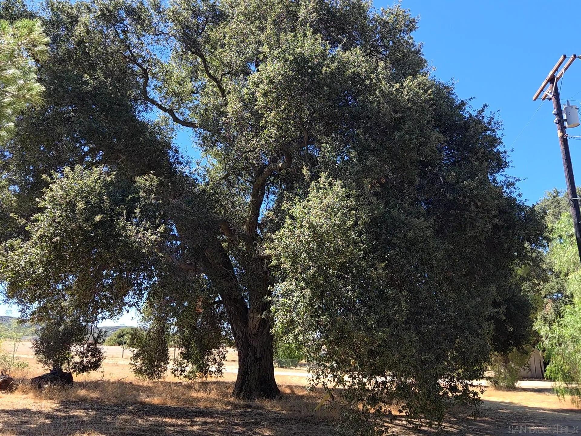 Detail Gallery Image 21 of 24 For 2125  Buckman Springs Road, Campo,  CA 91906 - 3 Beds | 1 Baths