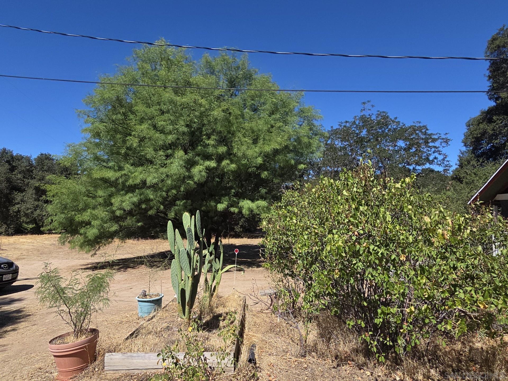 Detail Gallery Image 8 of 24 For 2125  Buckman Springs Road, Campo,  CA 91906 - 3 Beds | 1 Baths