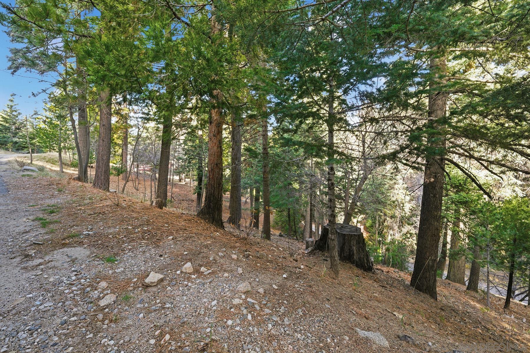 Detail Gallery Image 16 of 29 For , Lake Arrowhead,  CA 92352 - – Beds | – Baths