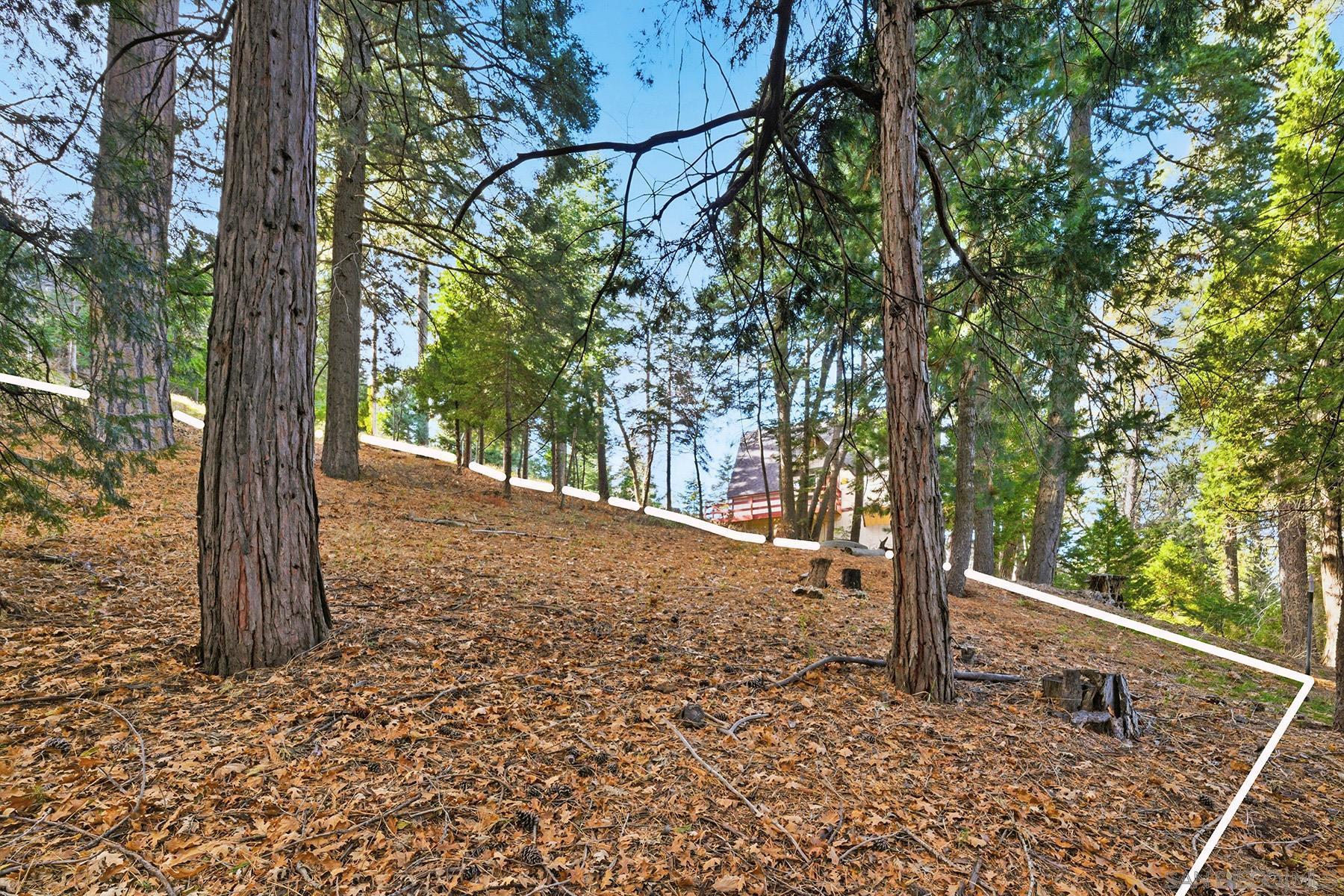 Detail Gallery Image 21 of 29 For , Lake Arrowhead,  CA 92352 - – Beds | – Baths