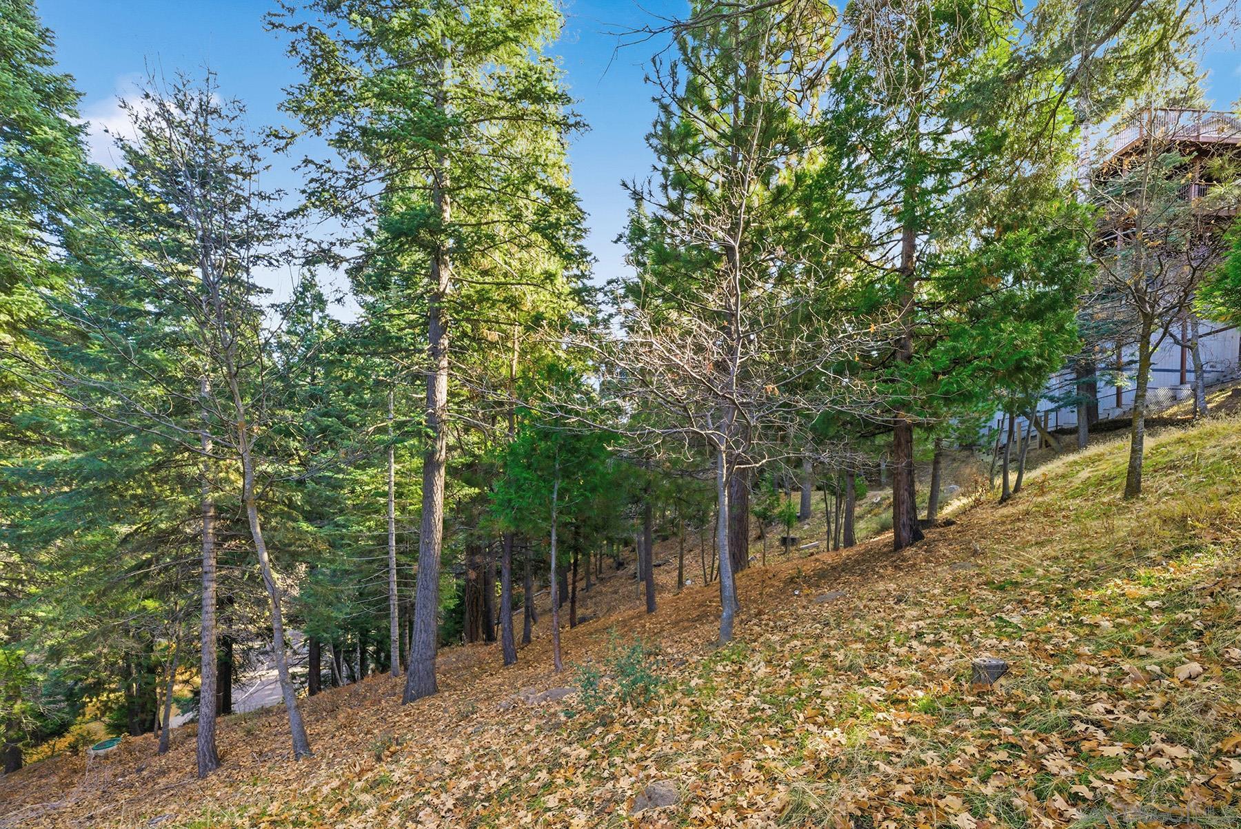 Detail Gallery Image 24 of 29 For , Lake Arrowhead,  CA 92352 - – Beds | – Baths