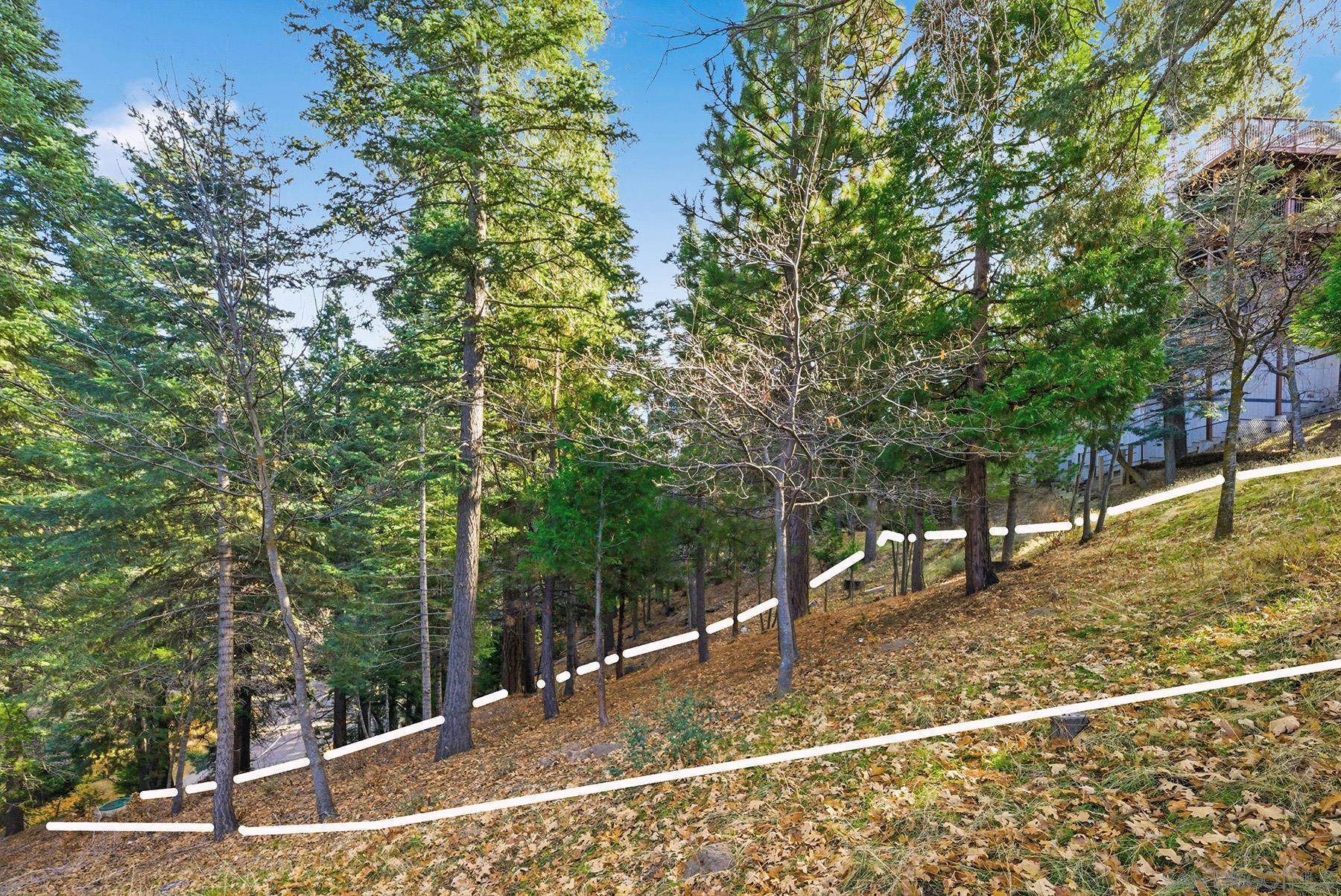 Detail Gallery Image 25 of 29 For , Lake Arrowhead,  CA 92352 - – Beds | – Baths