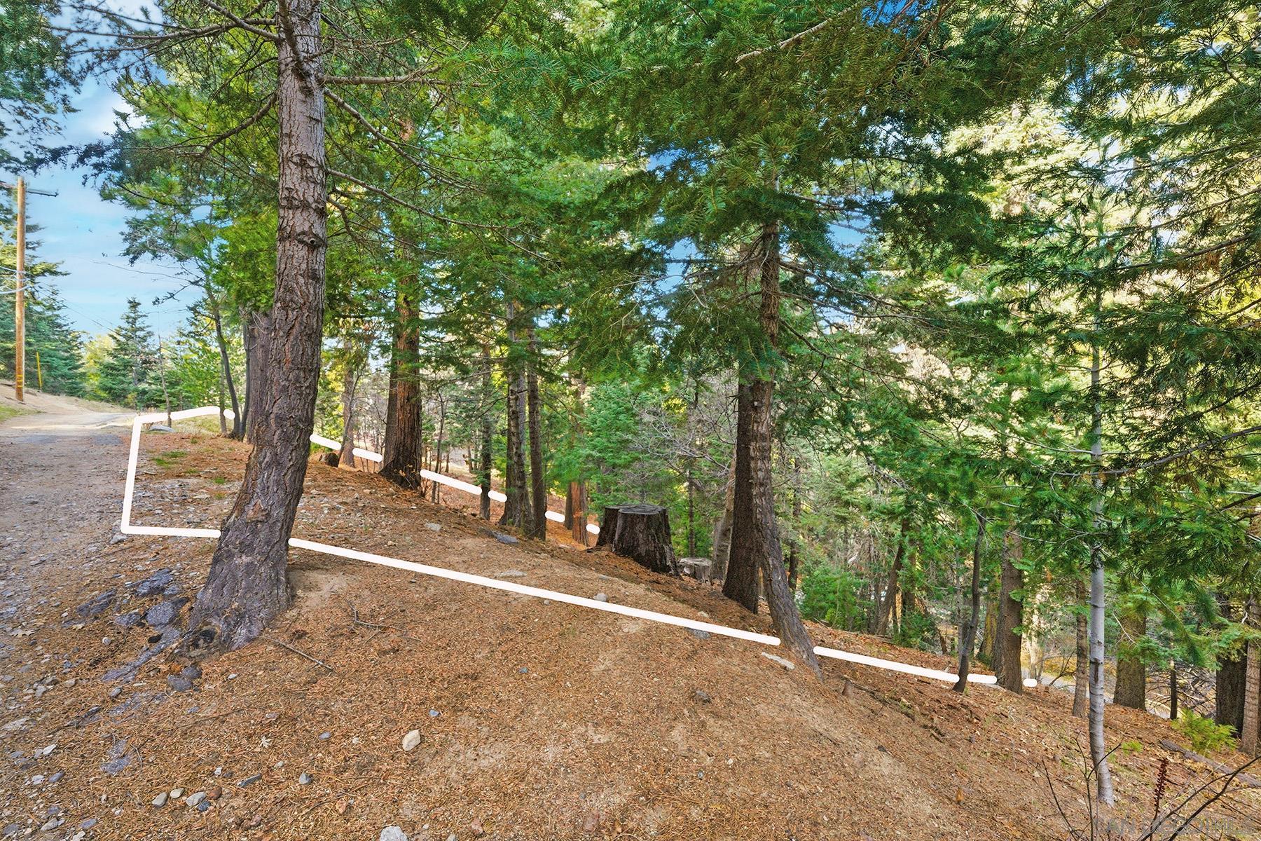 Detail Gallery Image 29 of 29 For , Lake Arrowhead,  CA 92352 - – Beds | – Baths