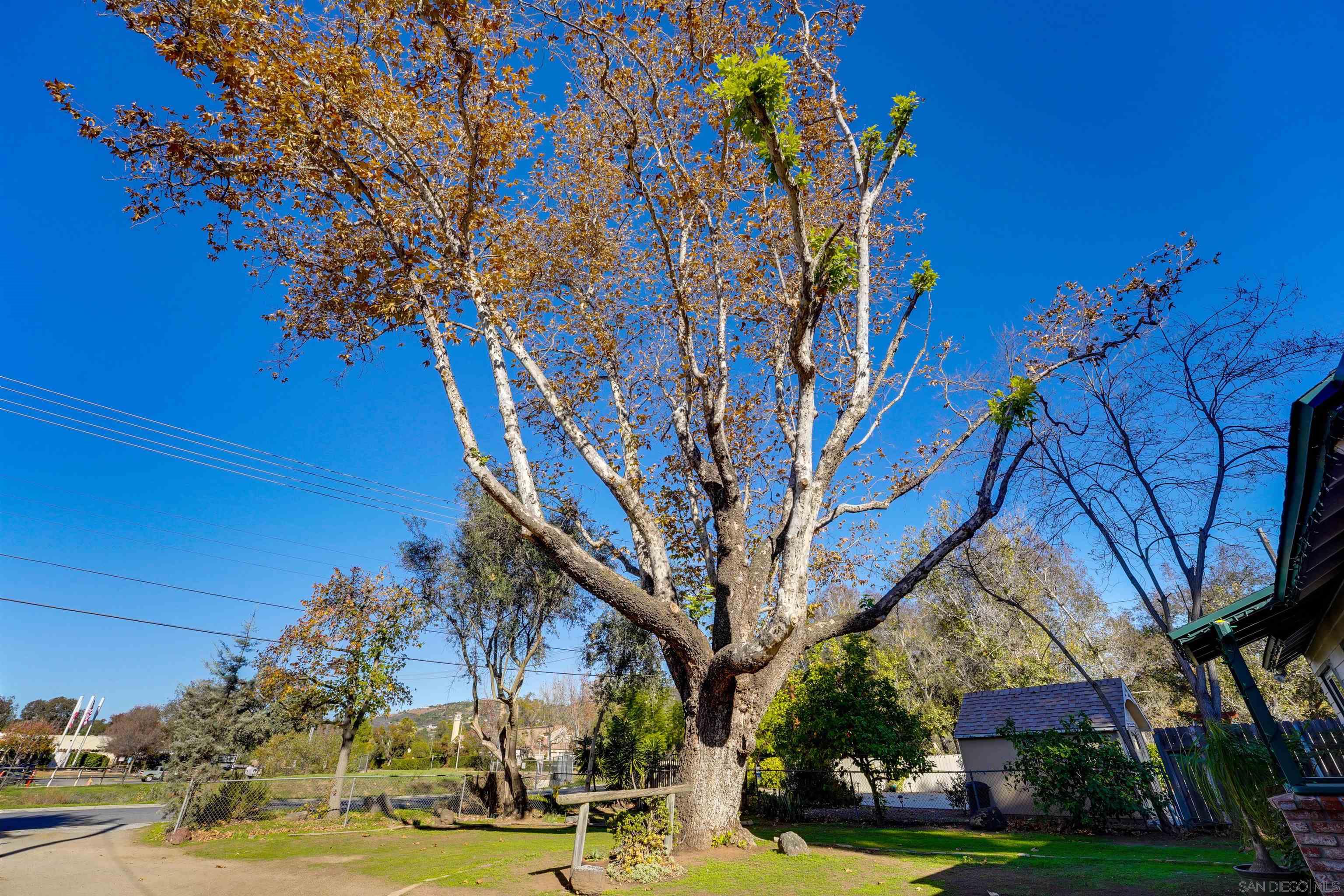 Detail Gallery Image 4 of 38 For 14153  Ezra Ln, Poway,  CA 92064 - 3 Beds | 1 Baths