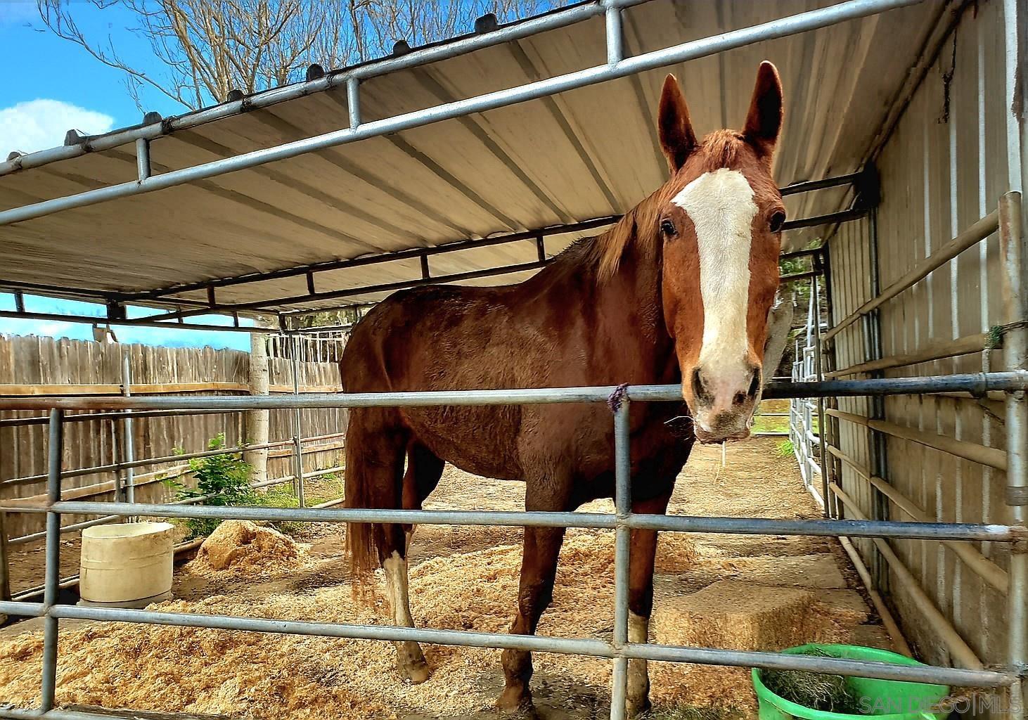 Detail Gallery Image 9 of 38 For 14153  Ezra Ln, Poway,  CA 92064 - 3 Beds | 1 Baths