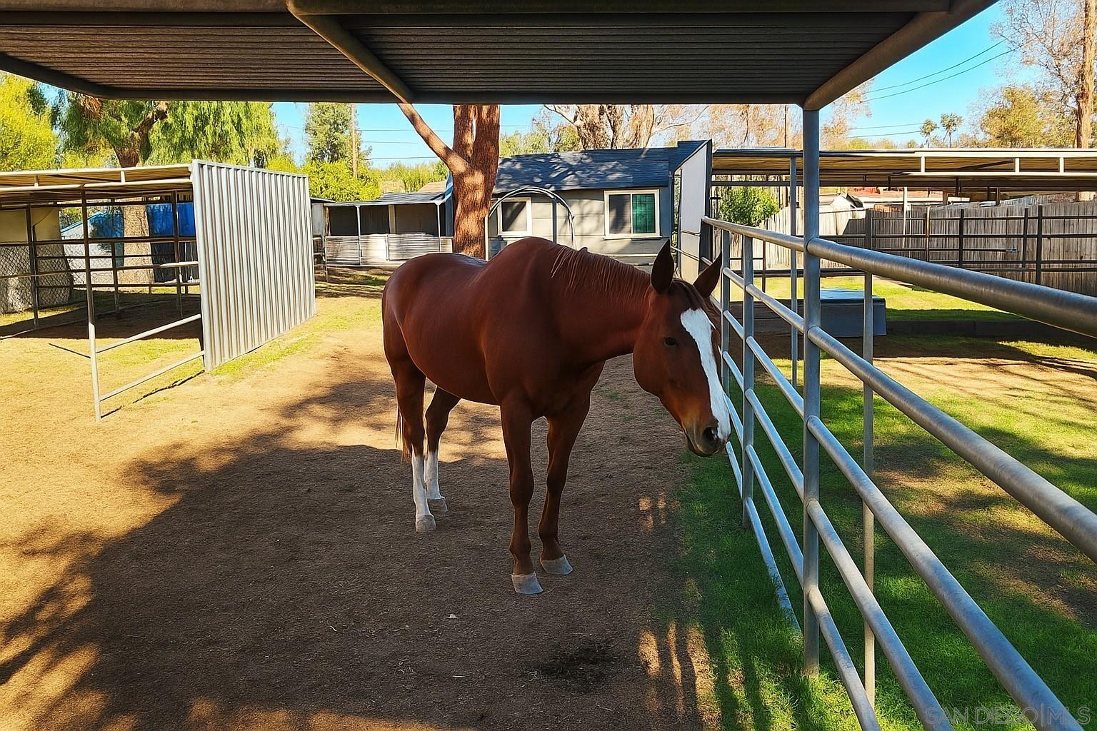 Detail Gallery Image 10 of 38 For 14153  Ezra Ln, Poway,  CA 92064 - 3 Beds | 1 Baths