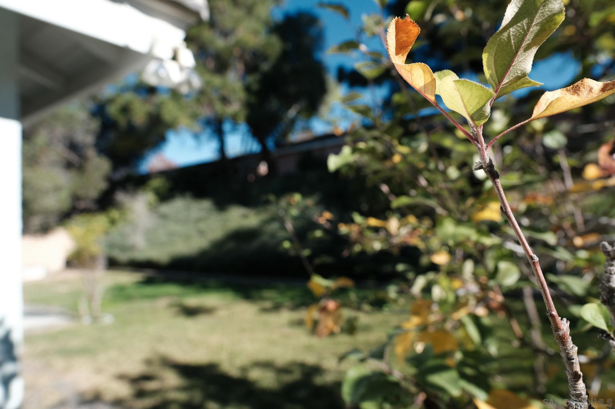 Detail Gallery Image 28 of 40 For 4835  Glenhaven Dr, Oceanside,  CA 92056 - 3 Beds | 2 Baths