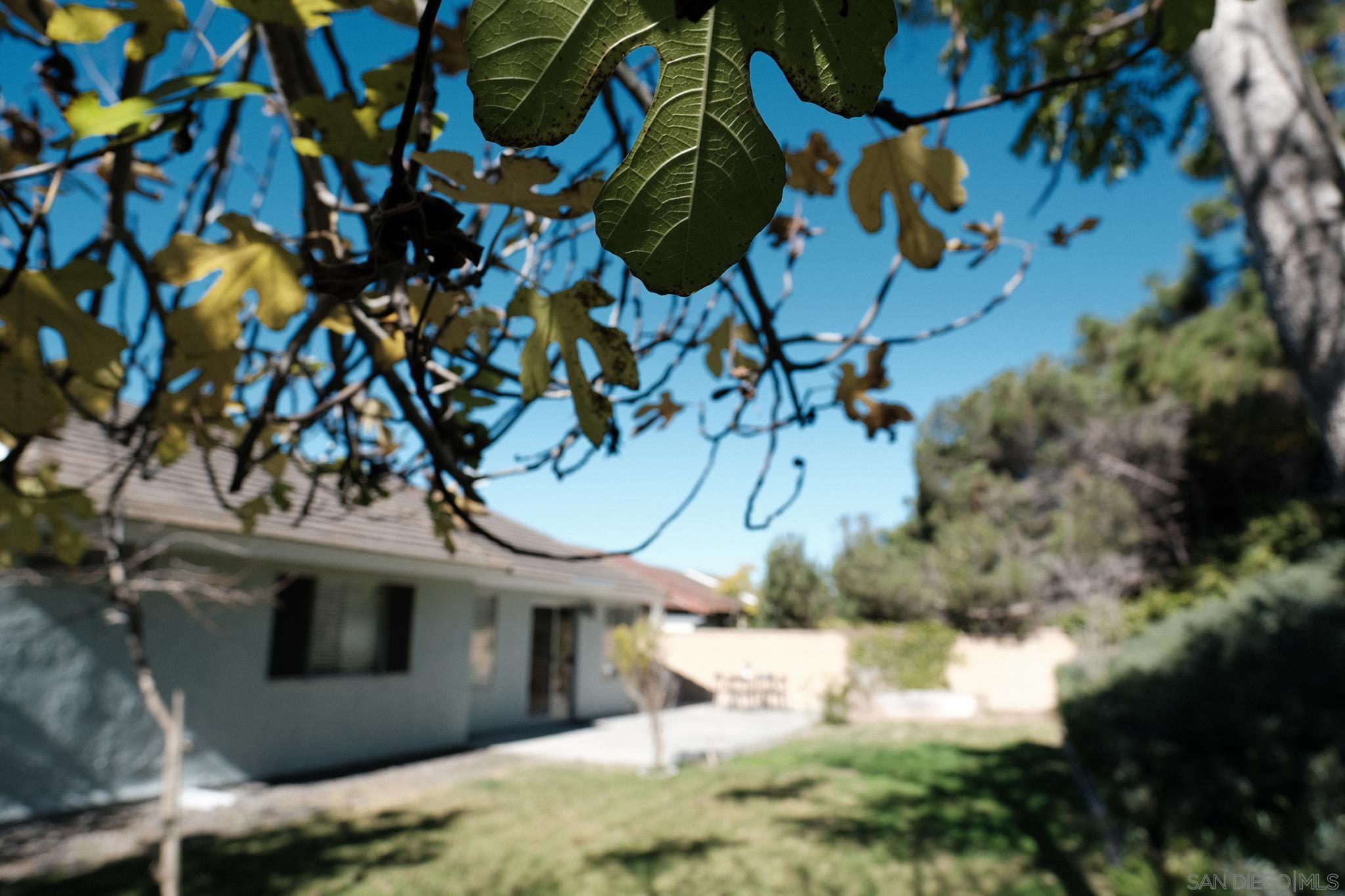Detail Gallery Image 34 of 40 For 4835  Glenhaven Dr, Oceanside,  CA 92056 - 3 Beds | 2 Baths