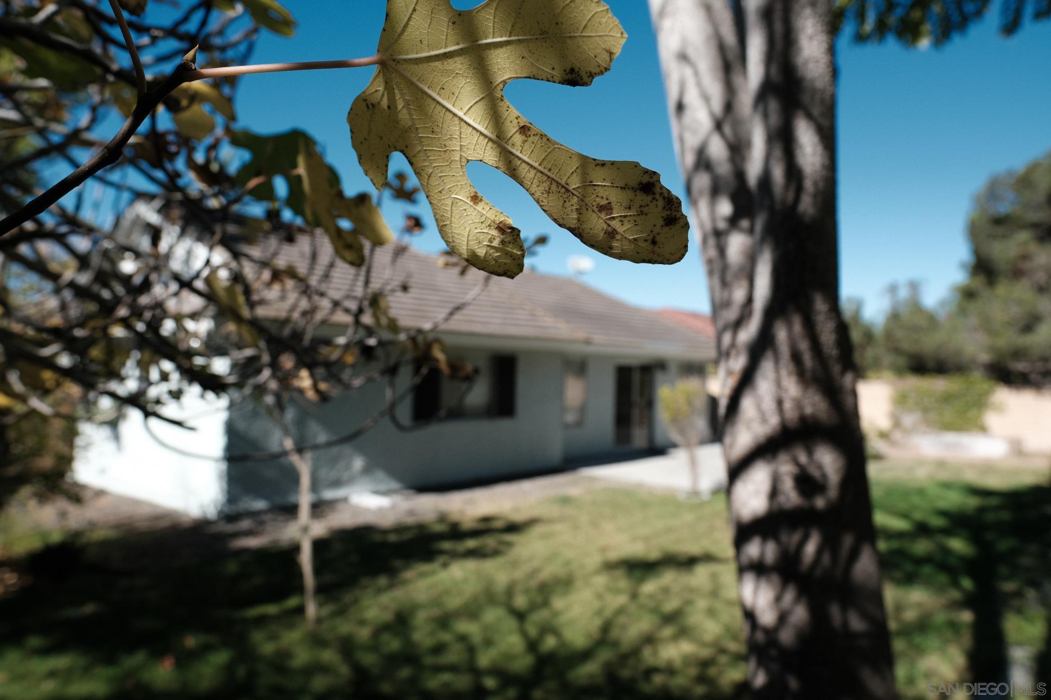 Detail Gallery Image 35 of 40 For 4835  Glenhaven Dr, Oceanside,  CA 92056 - 3 Beds | 2 Baths