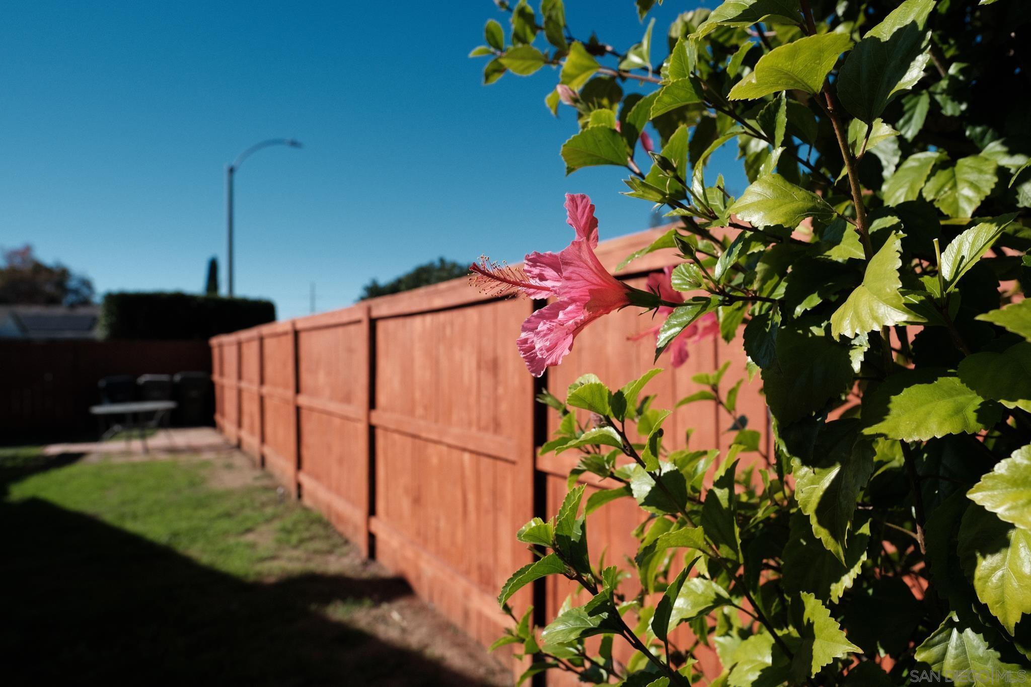 Detail Gallery Image 16 of 29 For 2142  Ridgeview Pl, Escondido,  CA 92026 - 3 Beds | 2 Baths