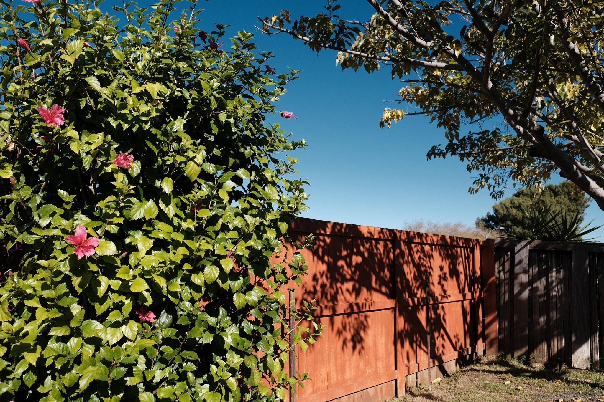 Detail Gallery Image 19 of 29 For 2142  Ridgeview Pl, Escondido,  CA 92026 - 3 Beds | 2 Baths