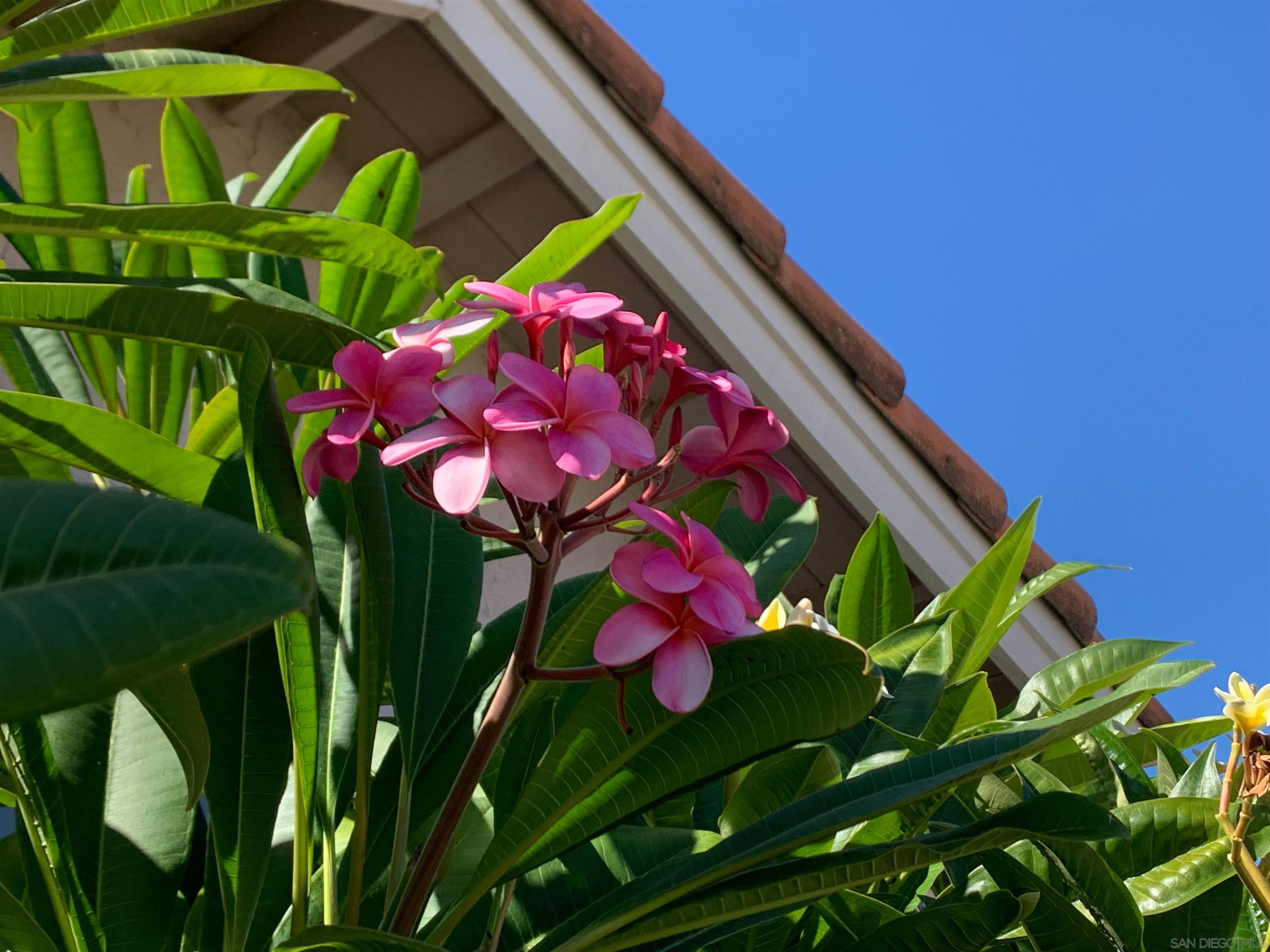 Detail Gallery Image 27 of 29 For 2314  Sawgrass Street, El Cajon,  CA 92019 - 3 Beds | 2 Baths