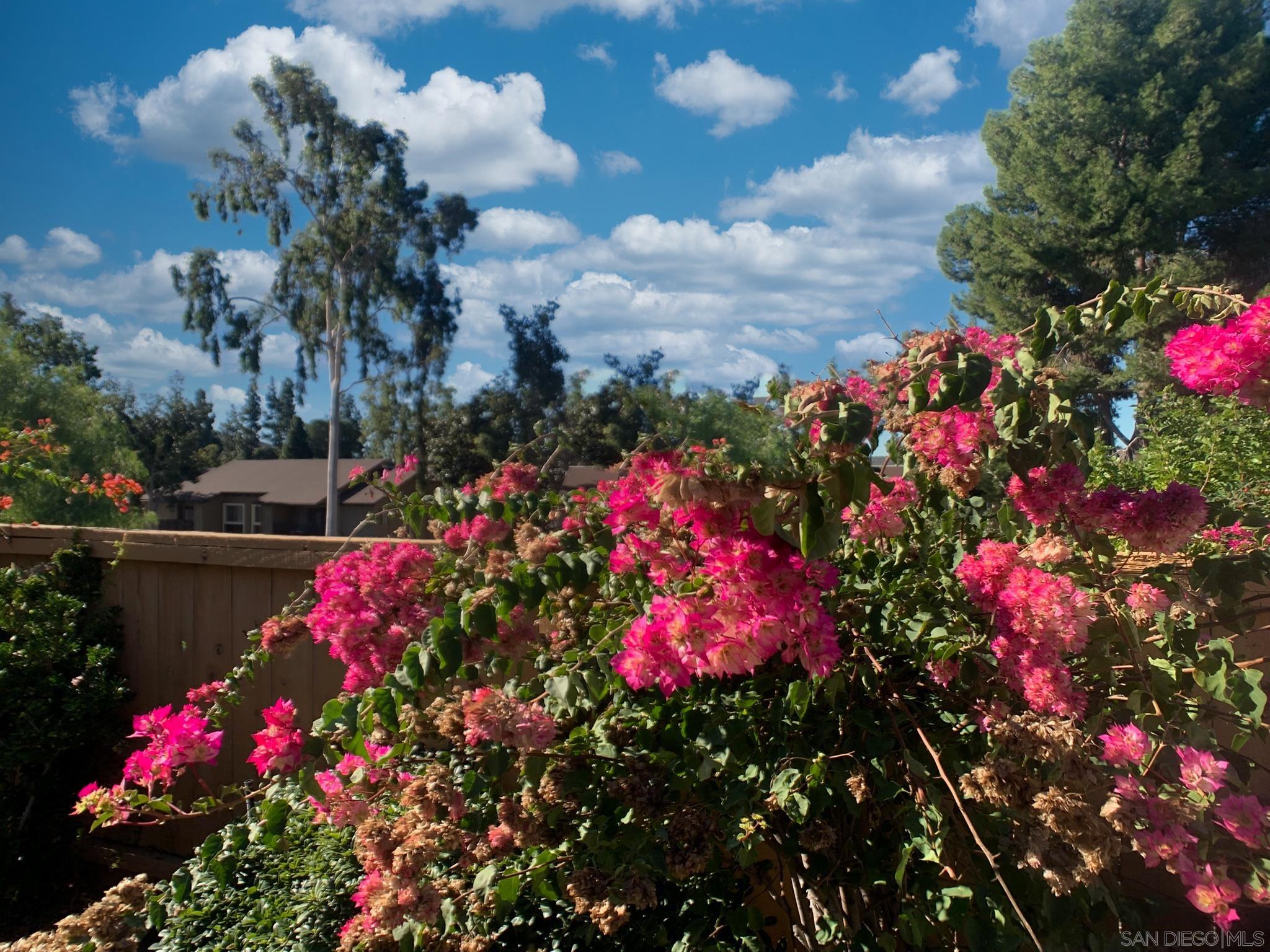 Detail Gallery Image 28 of 29 For 2314  Sawgrass Street, El Cajon,  CA 92019 - 3 Beds | 2 Baths