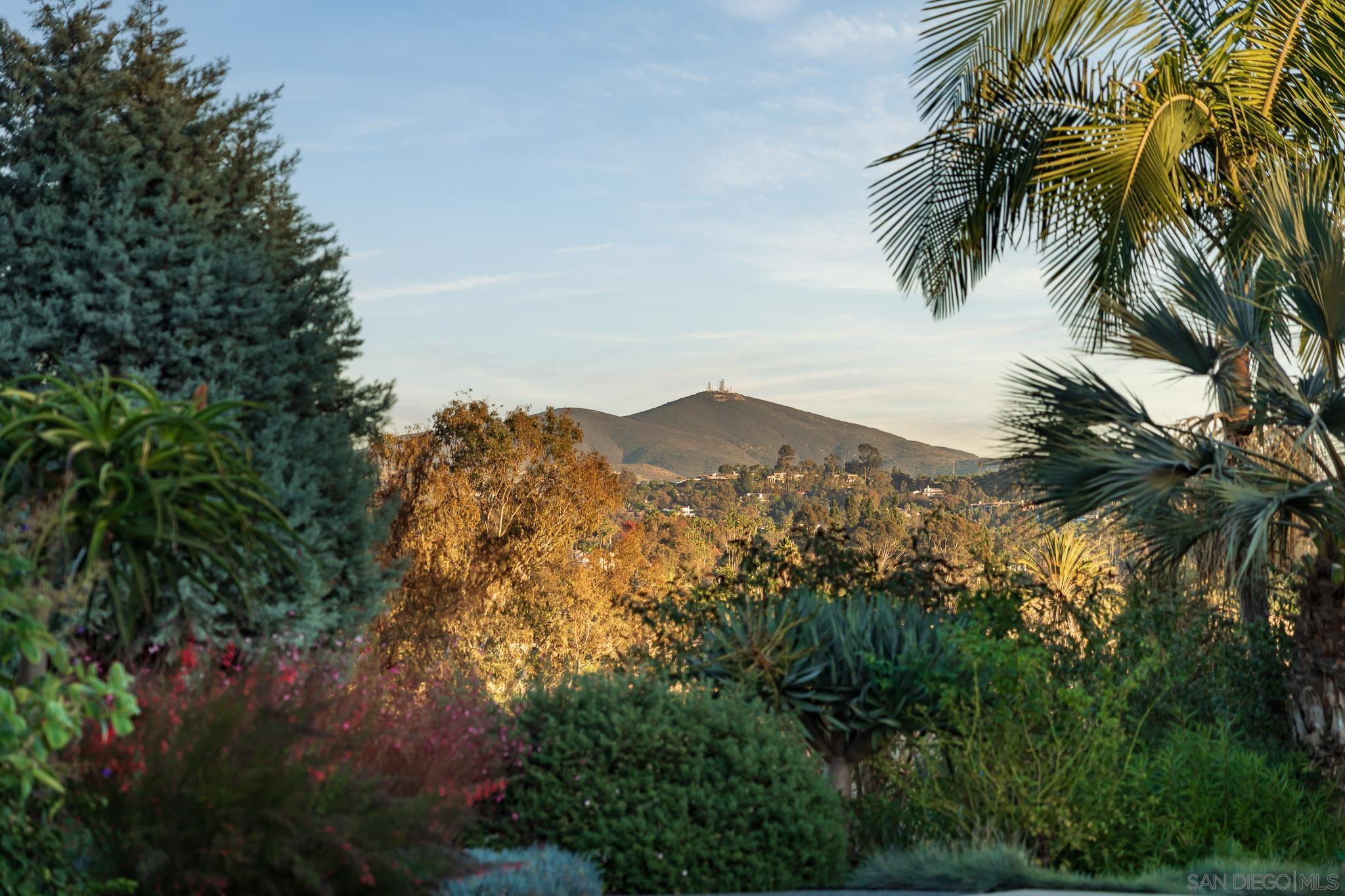 Detail Gallery Image 21 of 56 For 16039  via Del Alba, Rancho Santa Fe,  CA 92067 - 5 Beds | 3/1 Baths